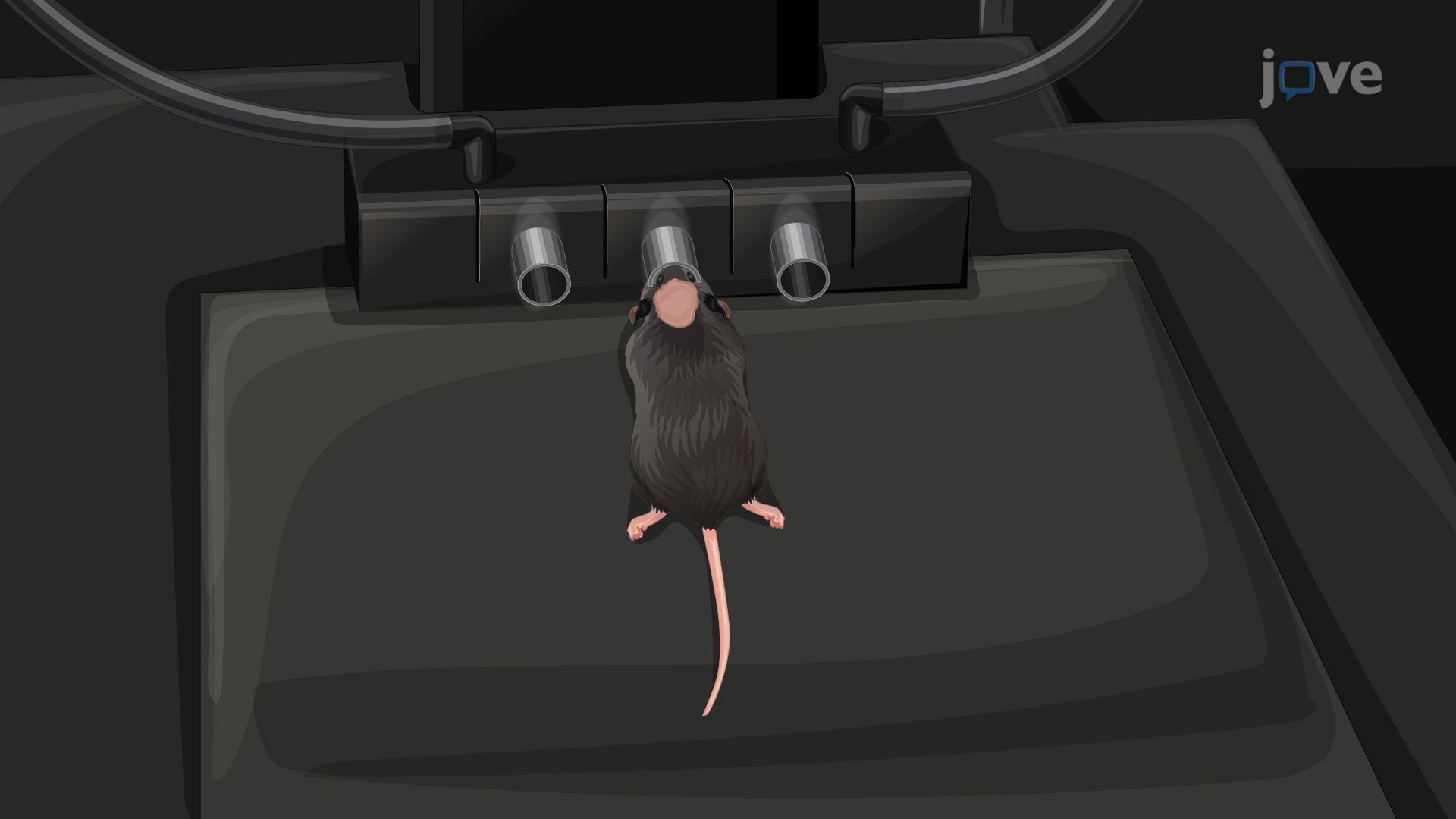 Bioluminescence Imaging of Neuroinflammation in a Transgenic Mouse