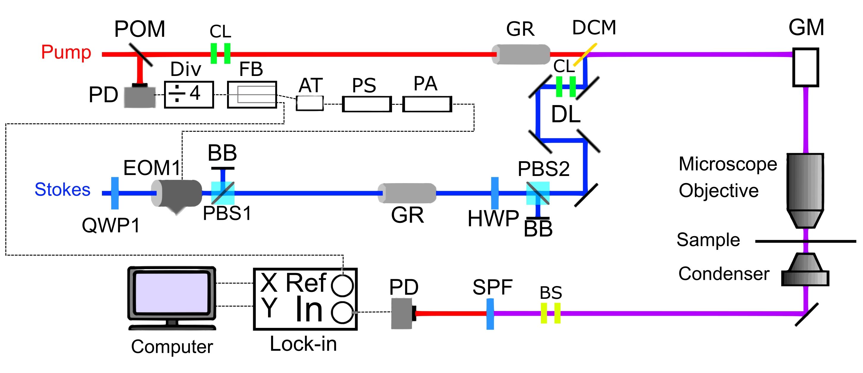 23443_Figure_1.jpg