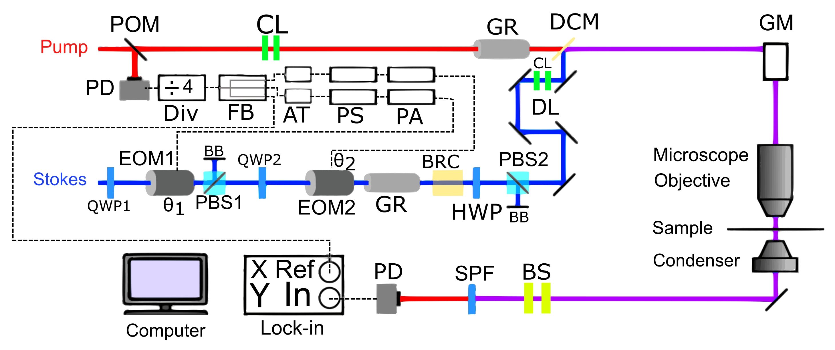 23443_Figure_5.jpg