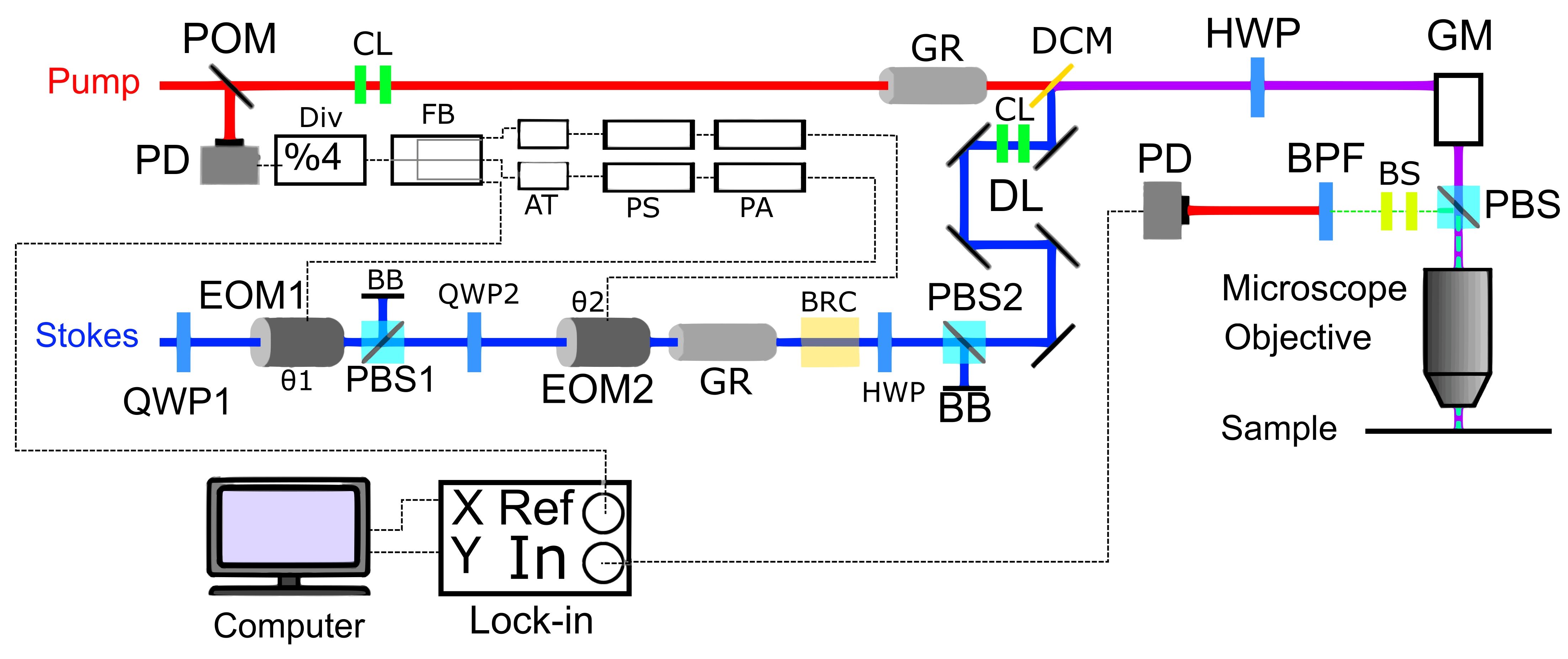 23443_Figure_6.jpg