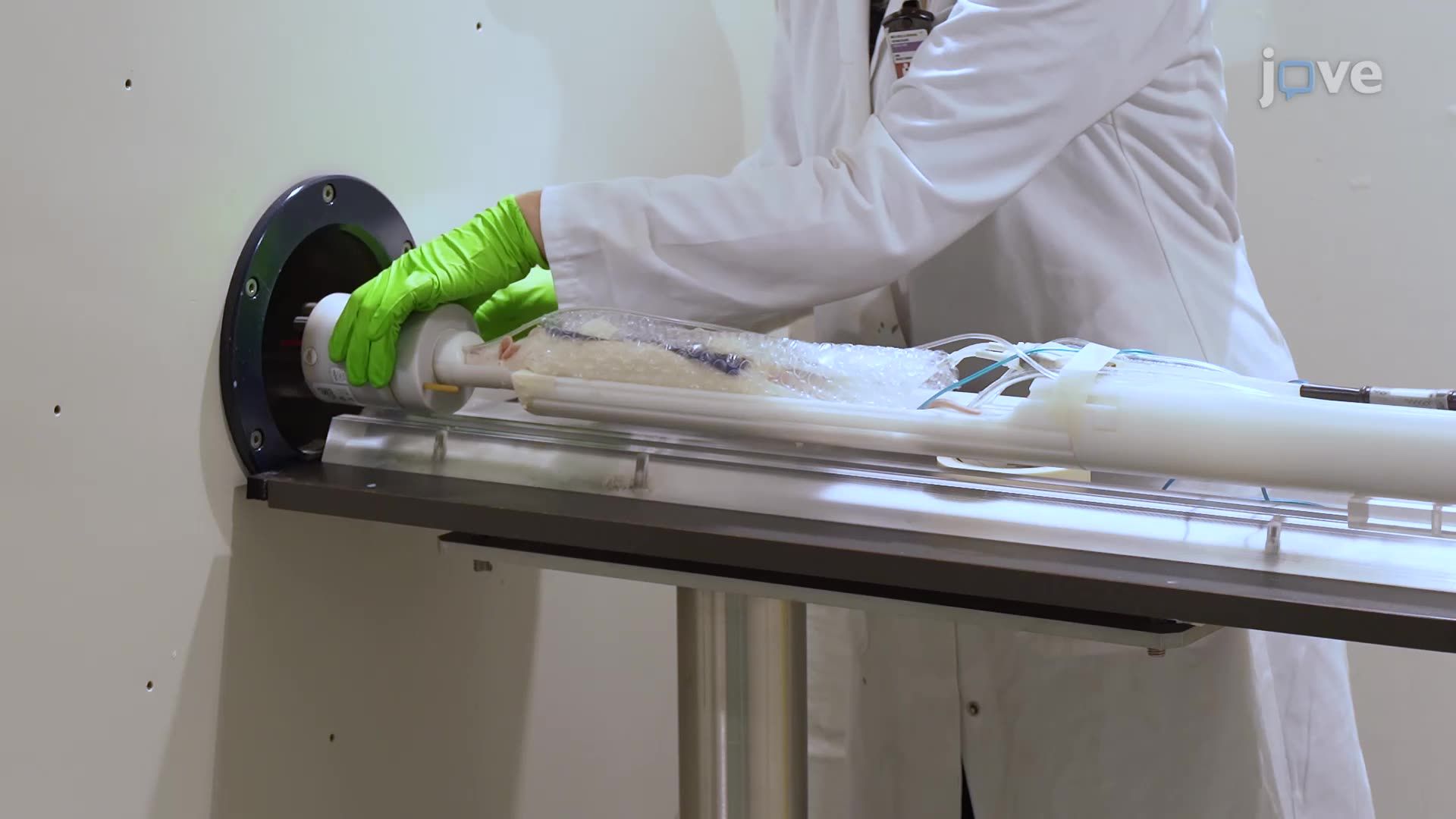 Diffusion-Weighted Imaging of the Rat Hippocampus with Mild Traumatic Brain Injury