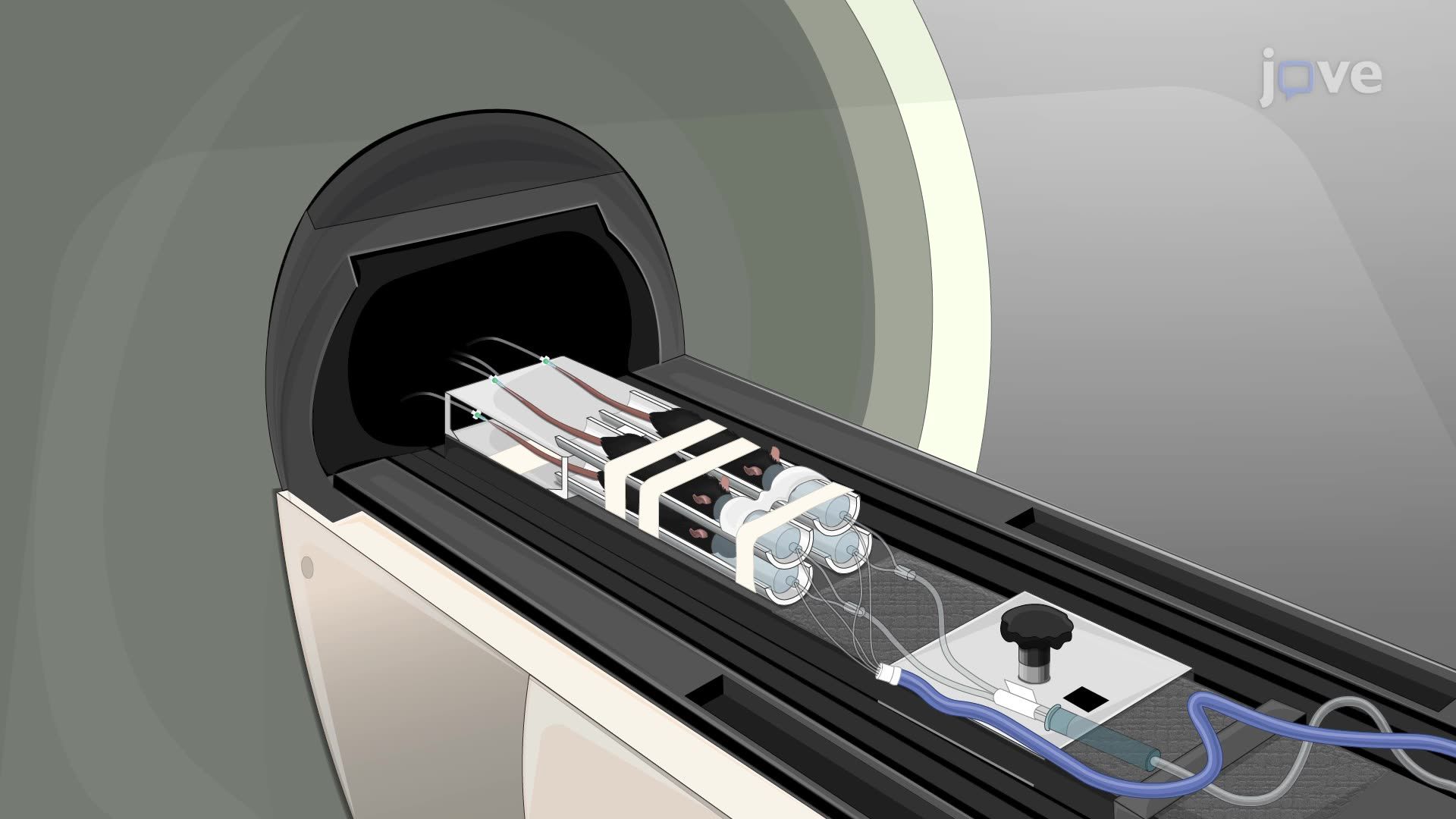 TSPO-PET/CT Imaging to Detect Infarct Formation in a Mouse Model of Ischemic Stroke
