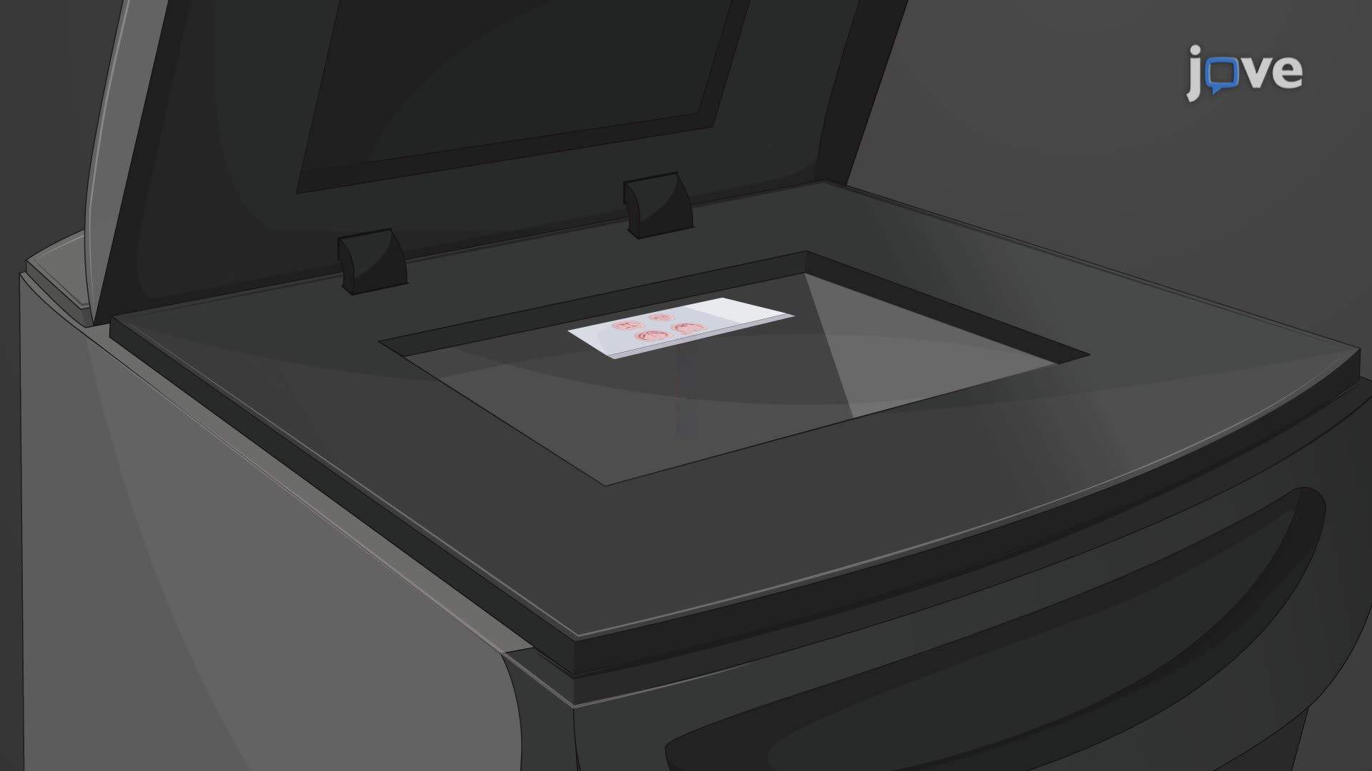 Measuring Protein Expression in the Rodent Brain Using Near-Infrared Fluorescence and High-Resolution Scanning