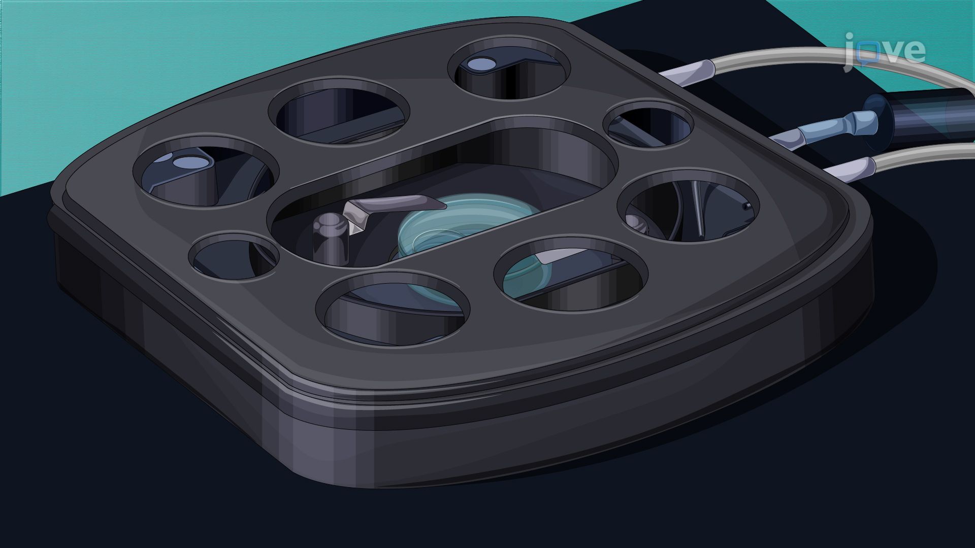 Real-Time Gene Expression Monitoring in Brain Slices via Three-Dimensional Imaging