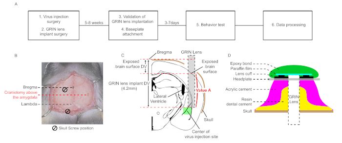 figure-results-1