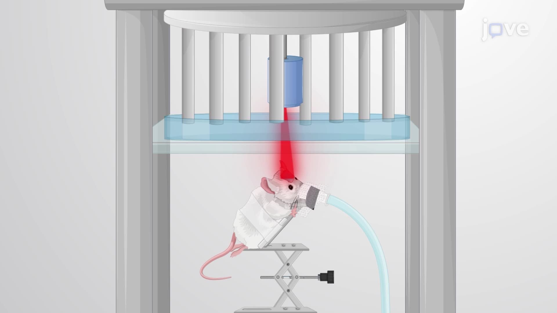 Photoacoustic Monitoring of Dye Movement in Cortical Blood Vessels