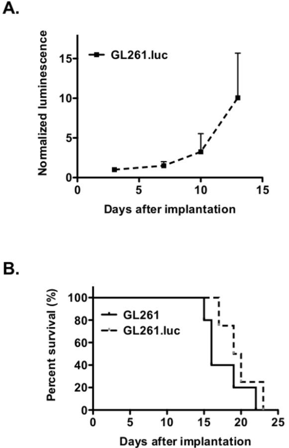 Graph showing normalized luminescence growth and survival rate post-implantation in GL261 models.