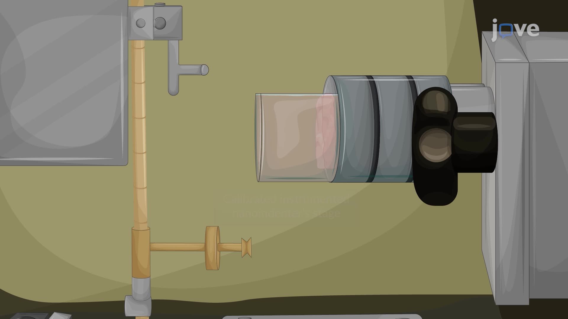 Impact Indentation for Assessing the Mechanical Properties of a Mouse Brain Tissue