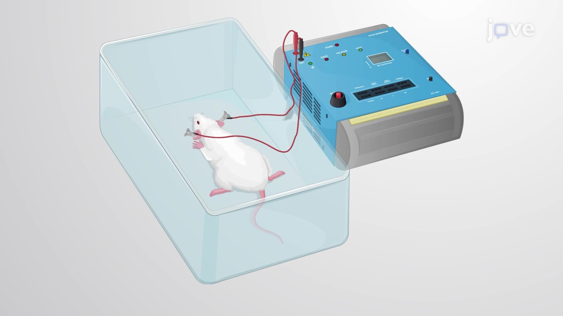Inducing an Acute Electroconvulsive Seizure in a Rat Model