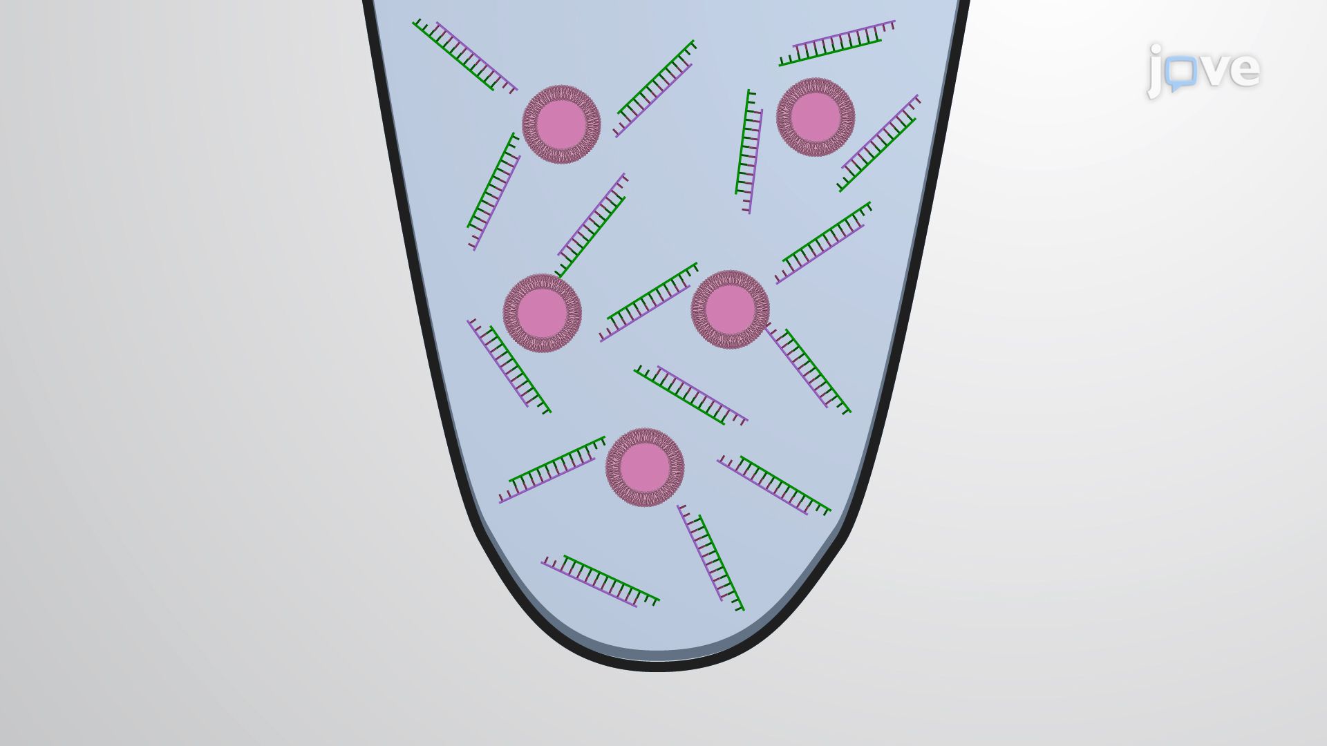 Targeted siRNA Delivery to Neurons for Prion Protein Silencing Using Liposomal Complexes