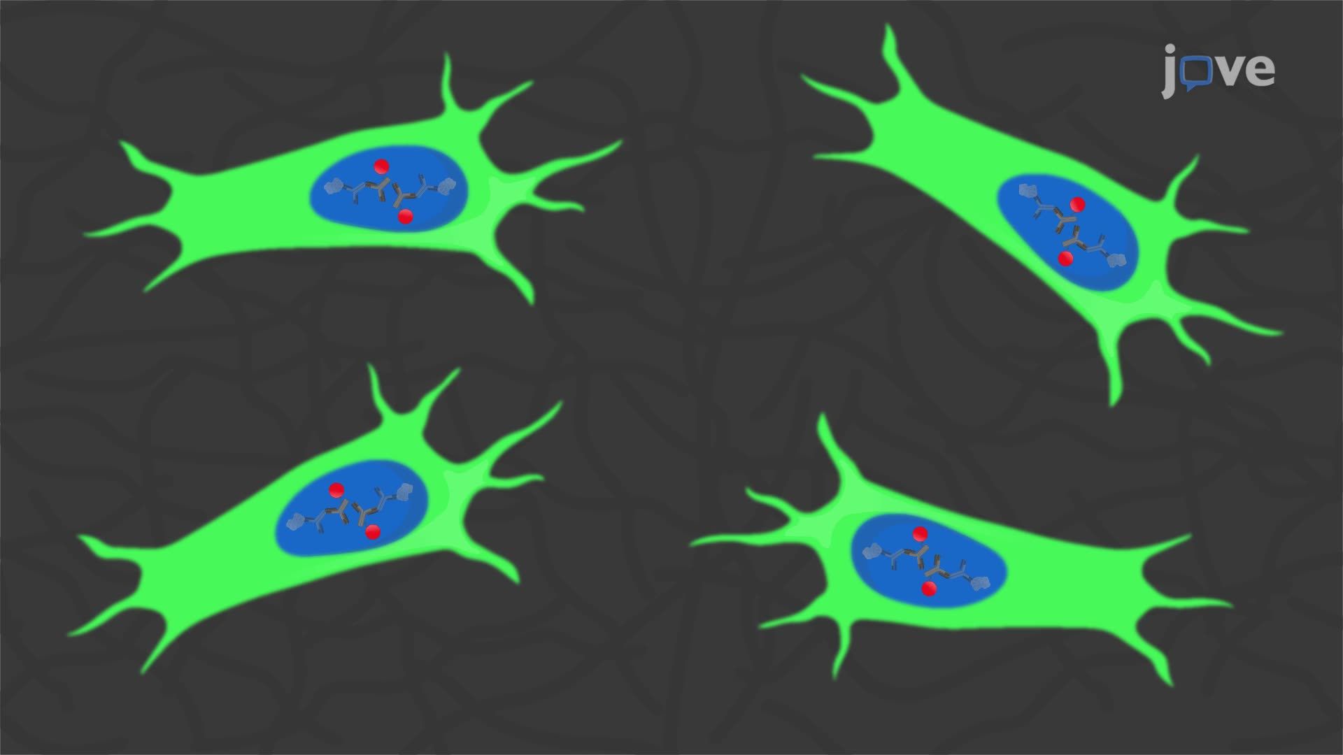Characterization of Genetically Engineered Mesenchymal Stem Cells for Neurotherapeutic Applications