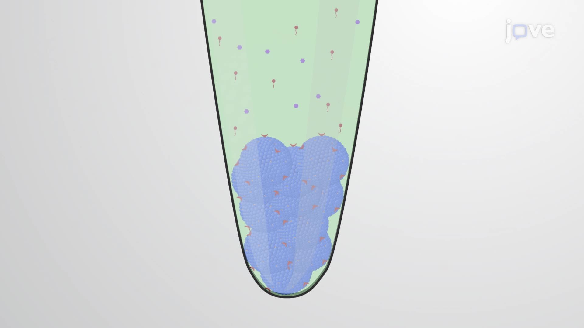 Formulating a Dopamine-Loaded Exosome Carrier System