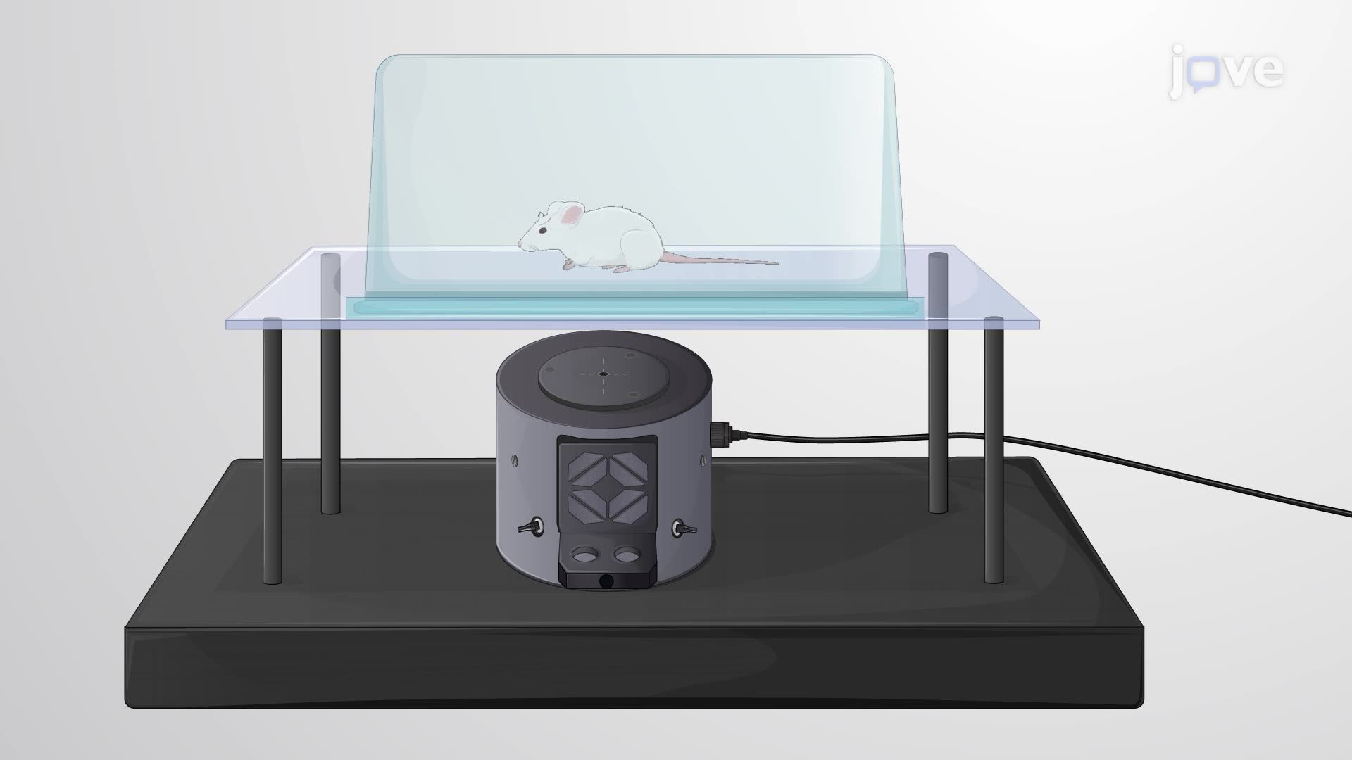 Synergistic Effect of Intracranial and Intraperitoneal Delivery of Analgesic Drugs on Thermal Pain Response in a Rat