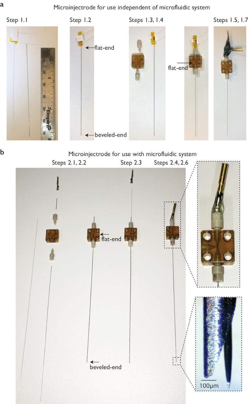 Microinjection setup with microelectrode assembly steps for microfluidic system; flat and beveled ends.