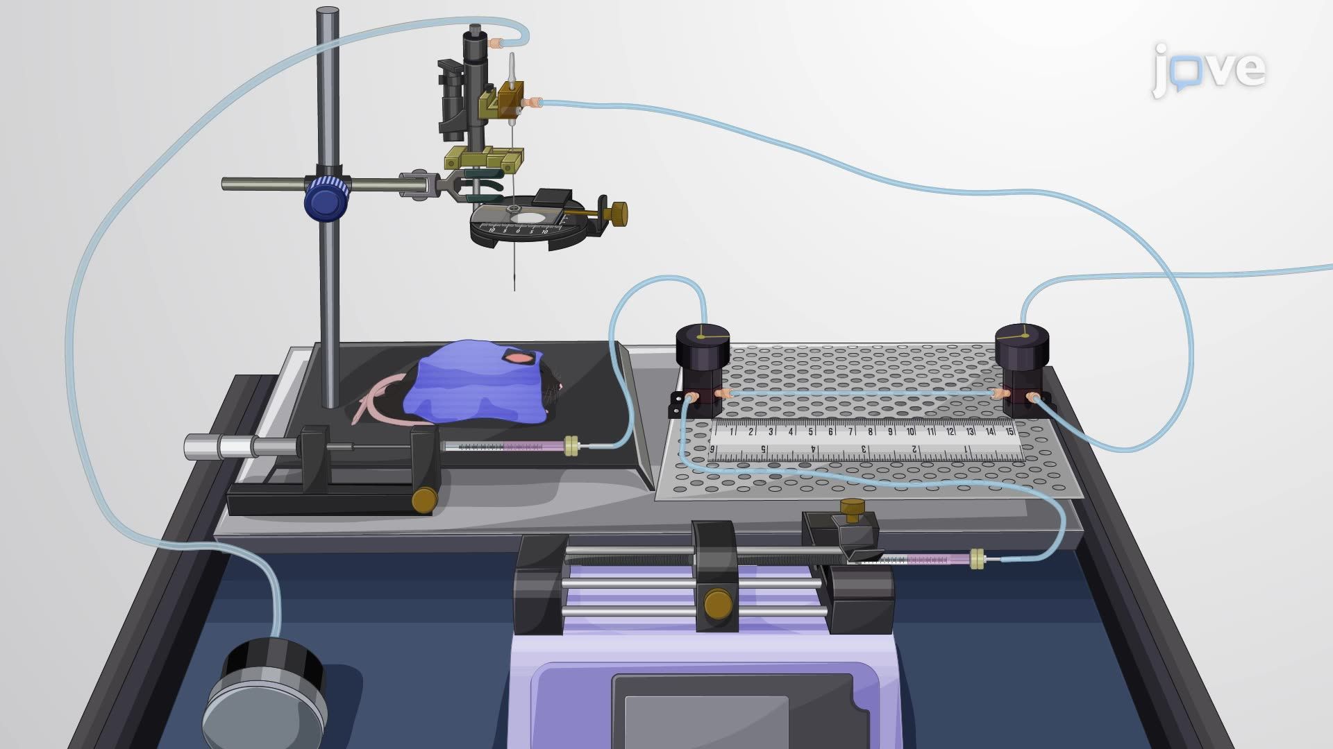 Microfluidic-Based Microinjectrode System for Combined Drug Infusion and Electrophysiology