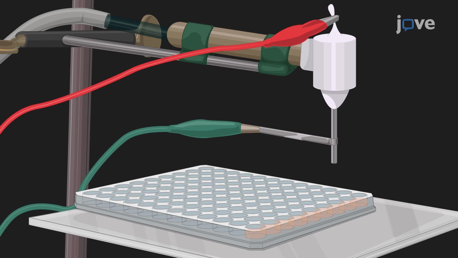 Assessing Atmospheric Pressure Plasma Treatment in Glucose-Deprived Neuroblastoma Cells