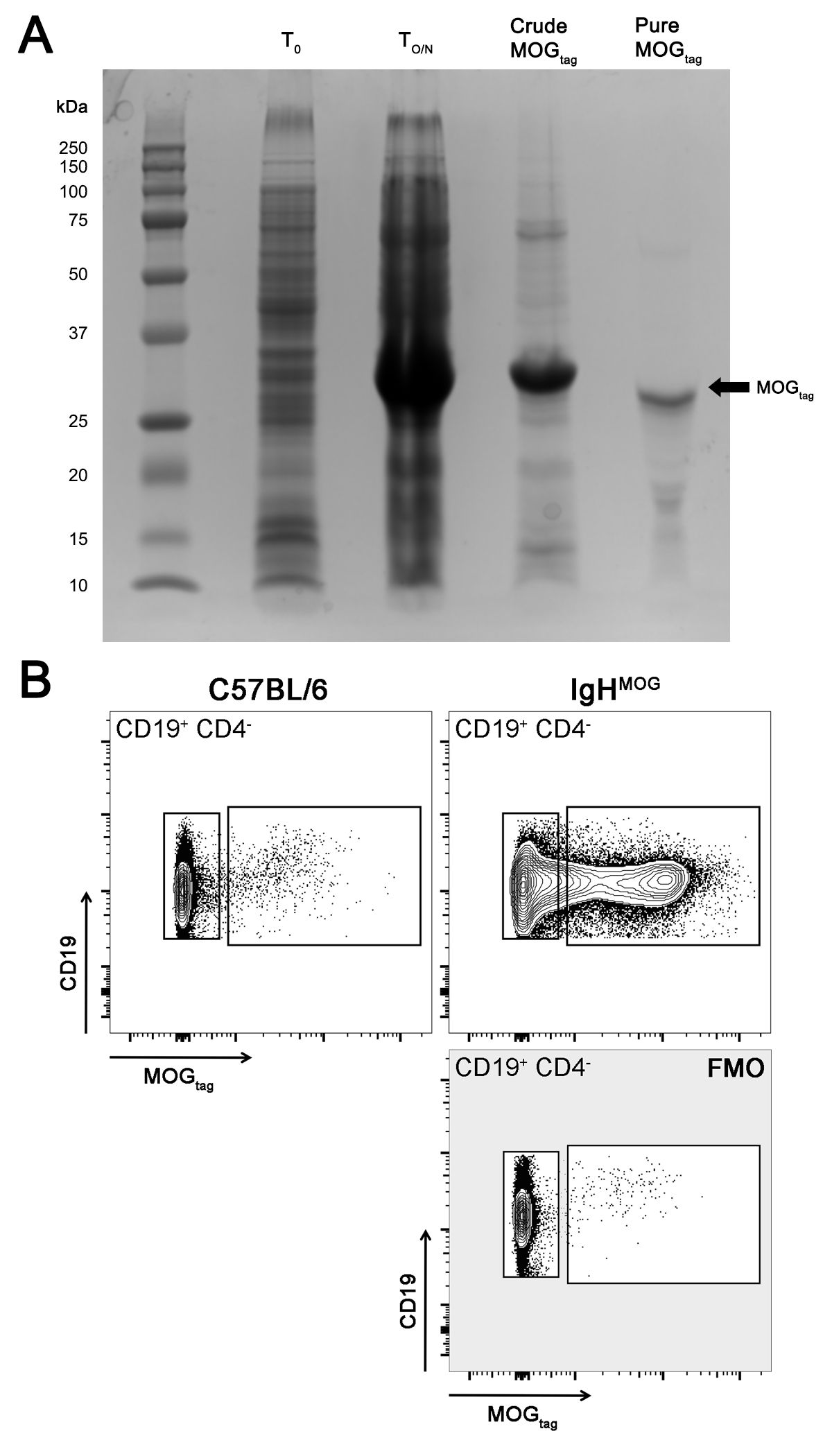 figure-results-2