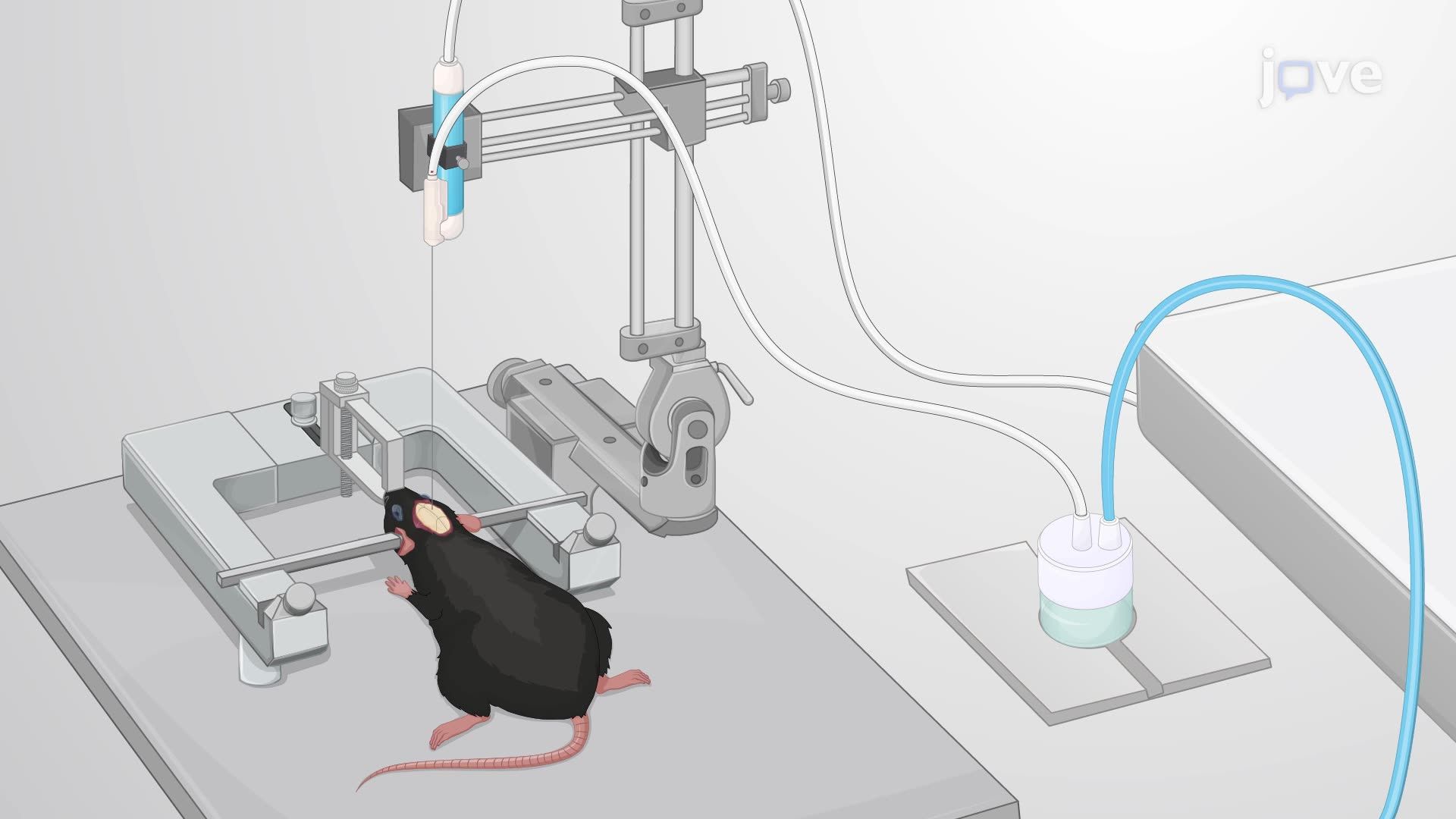 Brain Tumor Resection in a Mouse Using a Minimally Invasive Resection System