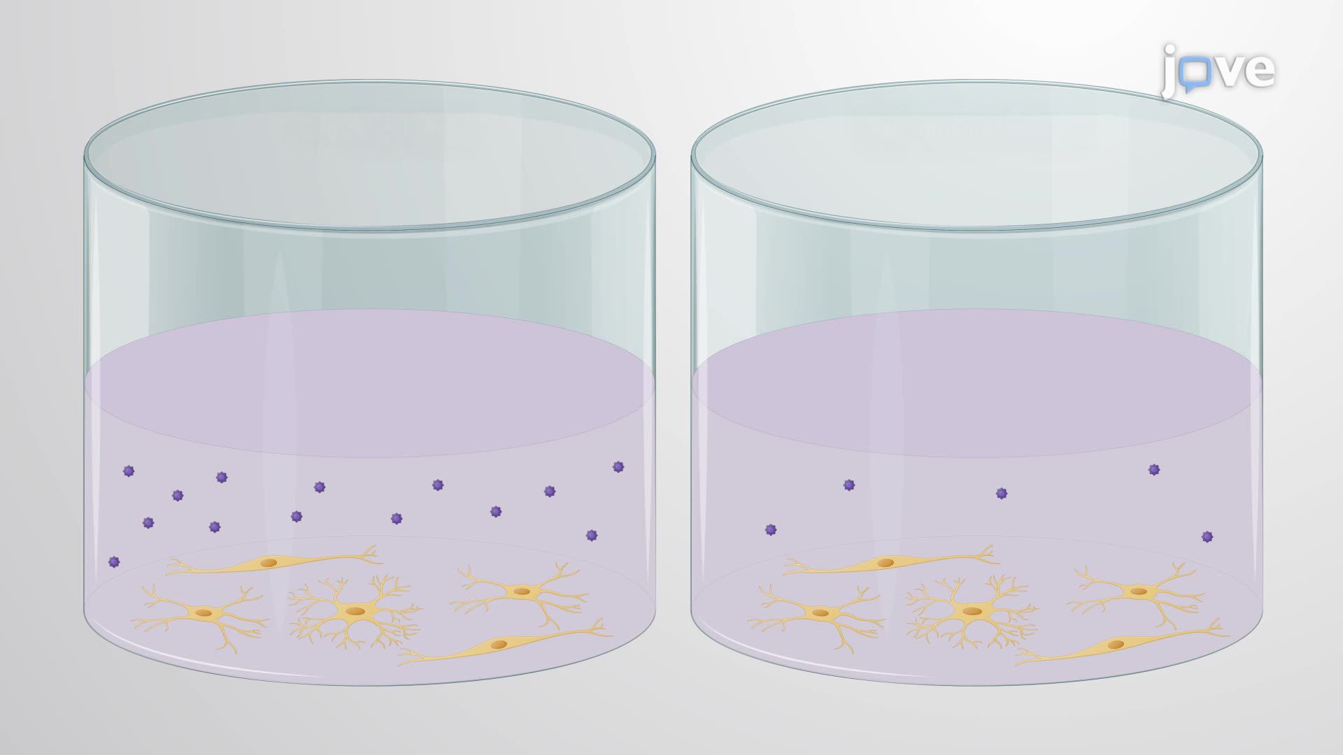 Nanoparticle-Mediated Enhanced Delivery of an Anti-Inflammatory Drug in Microglia-Like Cells
