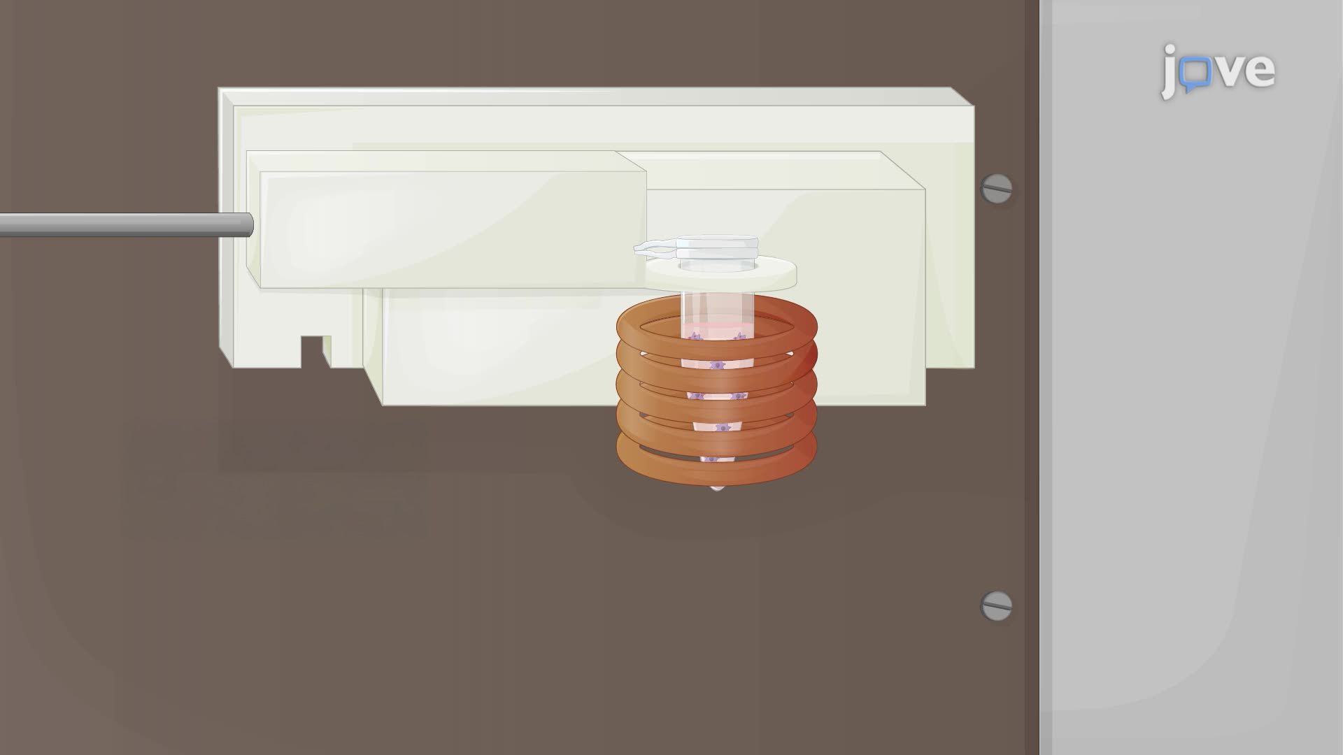 Magnetic Hyperthermia-Induced Cell Damage in Murine Microglial Cells