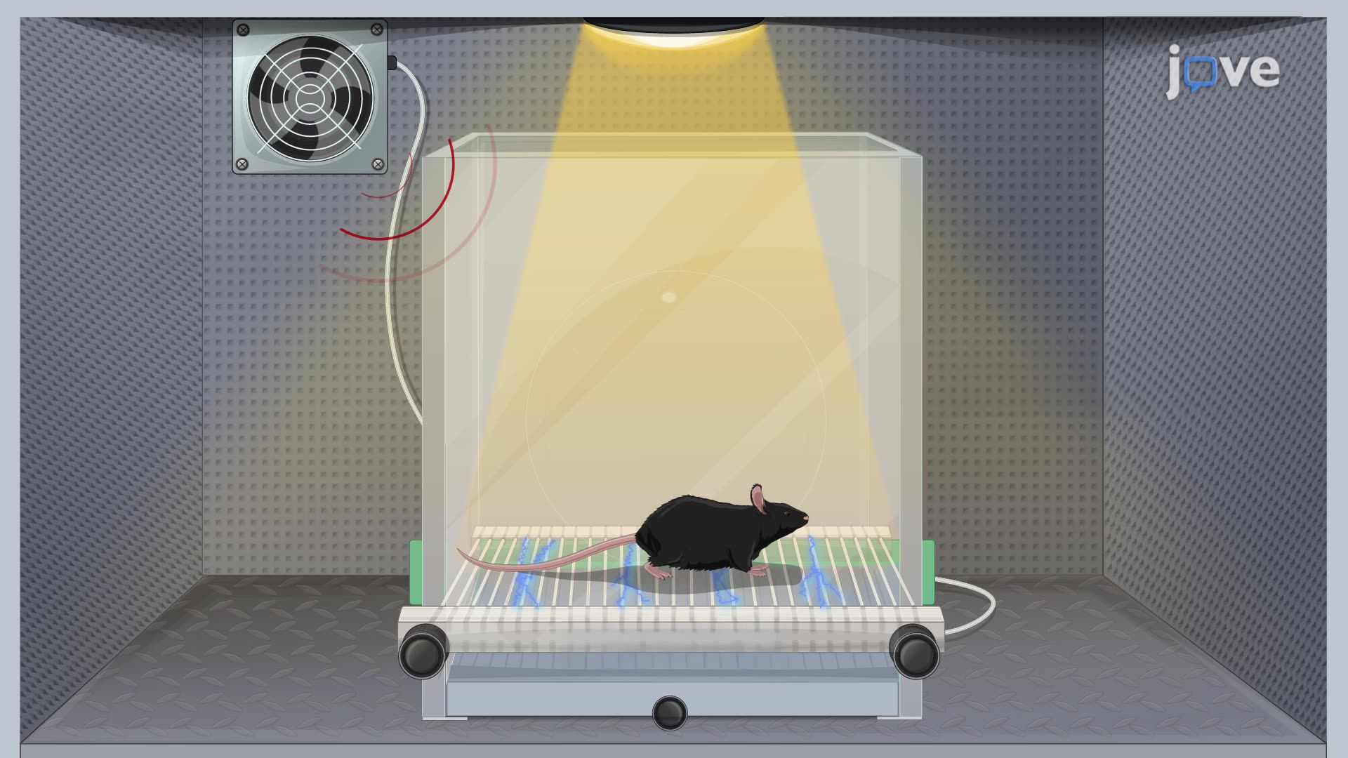 Restoring Memory Formation in a Memory-Deficient Mouse Model through Allosteric Modulation