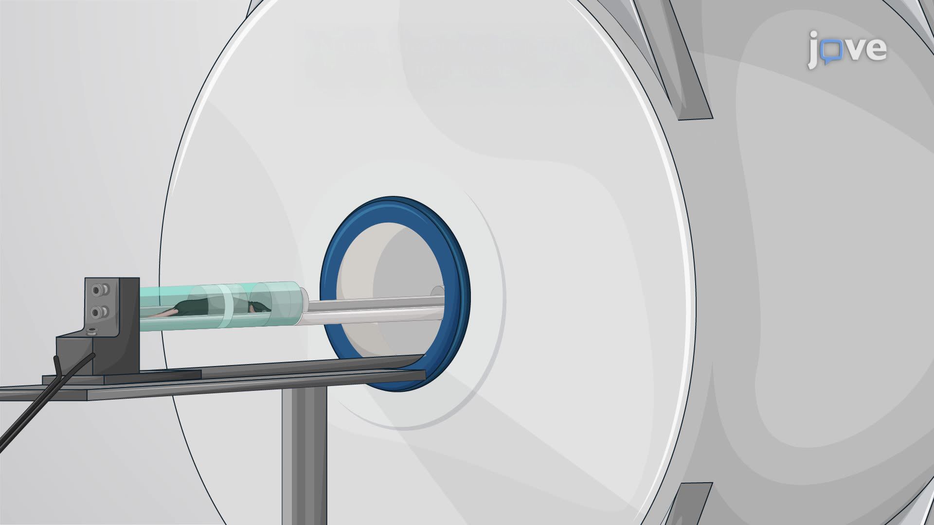 Assessing the Angiogenesis Effects of a Test Drug in a Rat Model of Ischemic Stroke