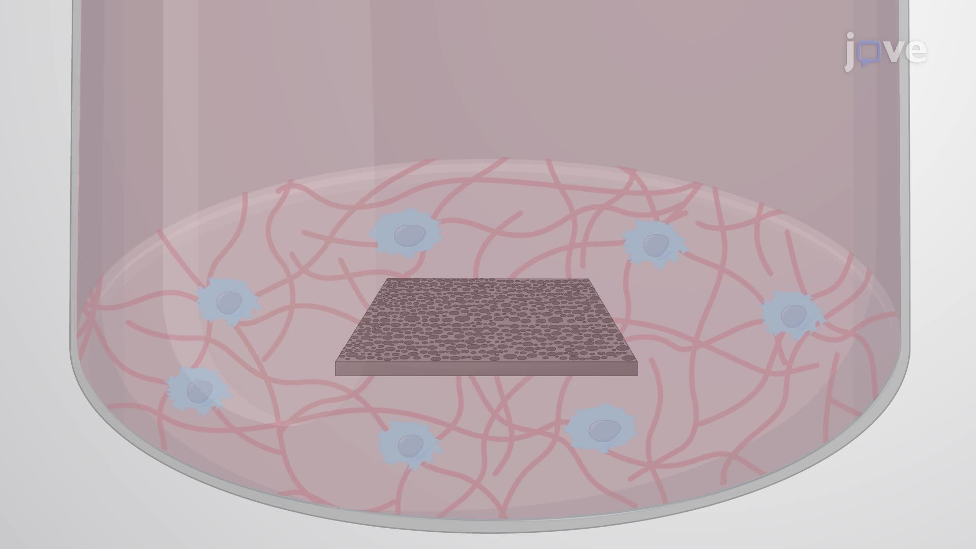 Sustained Delivery of Nerve Growth Factor Using a Porous Silicon Film in Rat Pheochromocytoma 12 Cells