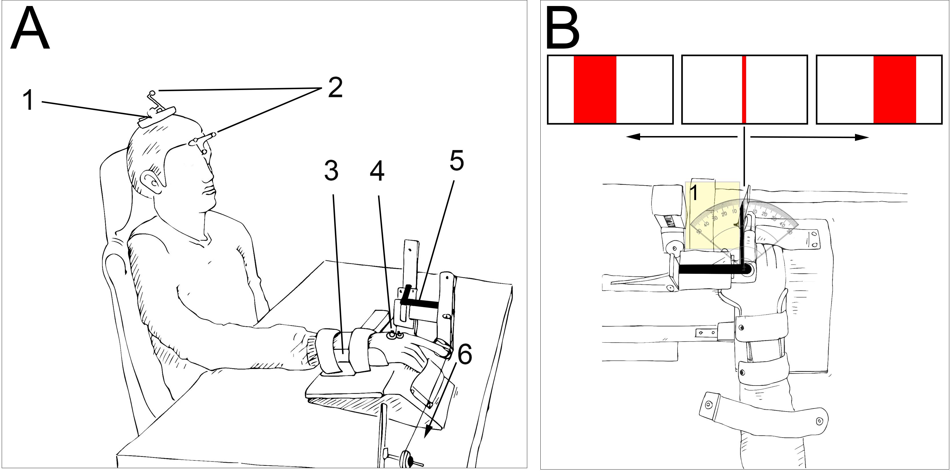 figure-results-1 Experimental setup for motor control study; human participant with arm restraint, angular position measurement. Diagram shows sensory feedback process.