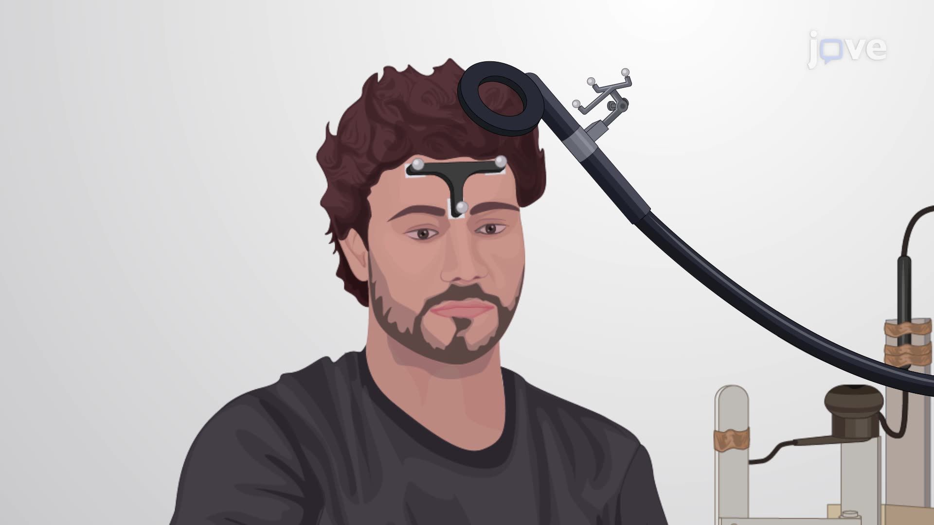 Transcranial Magnetic Stimulation for Modulating Muscle Response in Humans