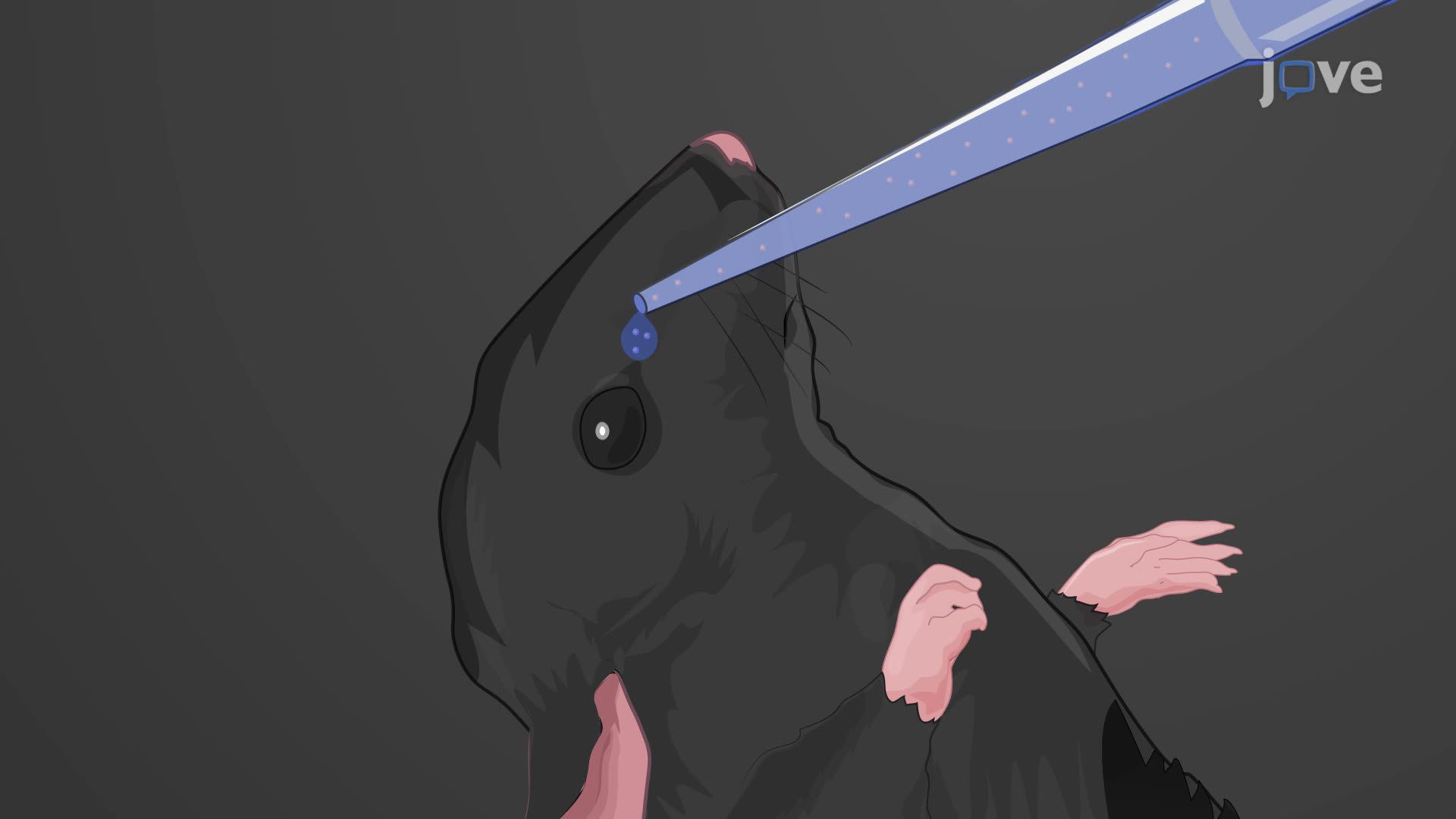 Ophthalmic Drug Delivery for Noninvasive Neuromodulation in a Mouse Model