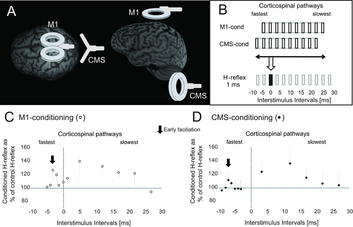 Corticospinal pathway diagram; M1/CMS conditioning on H-reflex; graphs show interstimulus effects.
