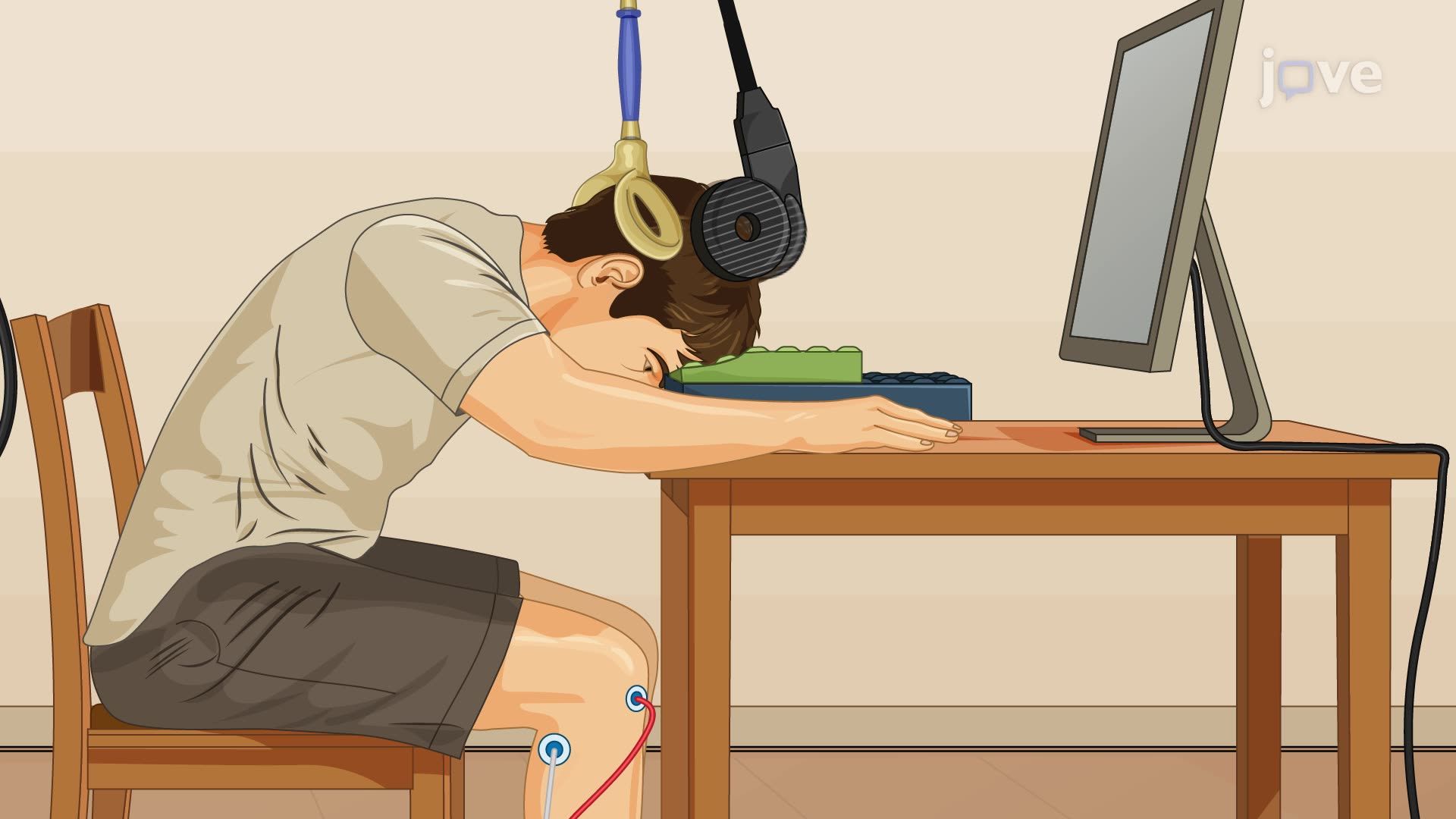 Repetitive Transcranial Magnetic Stimulation-Induced Changes in Human Corticomotoneuronal Synapses