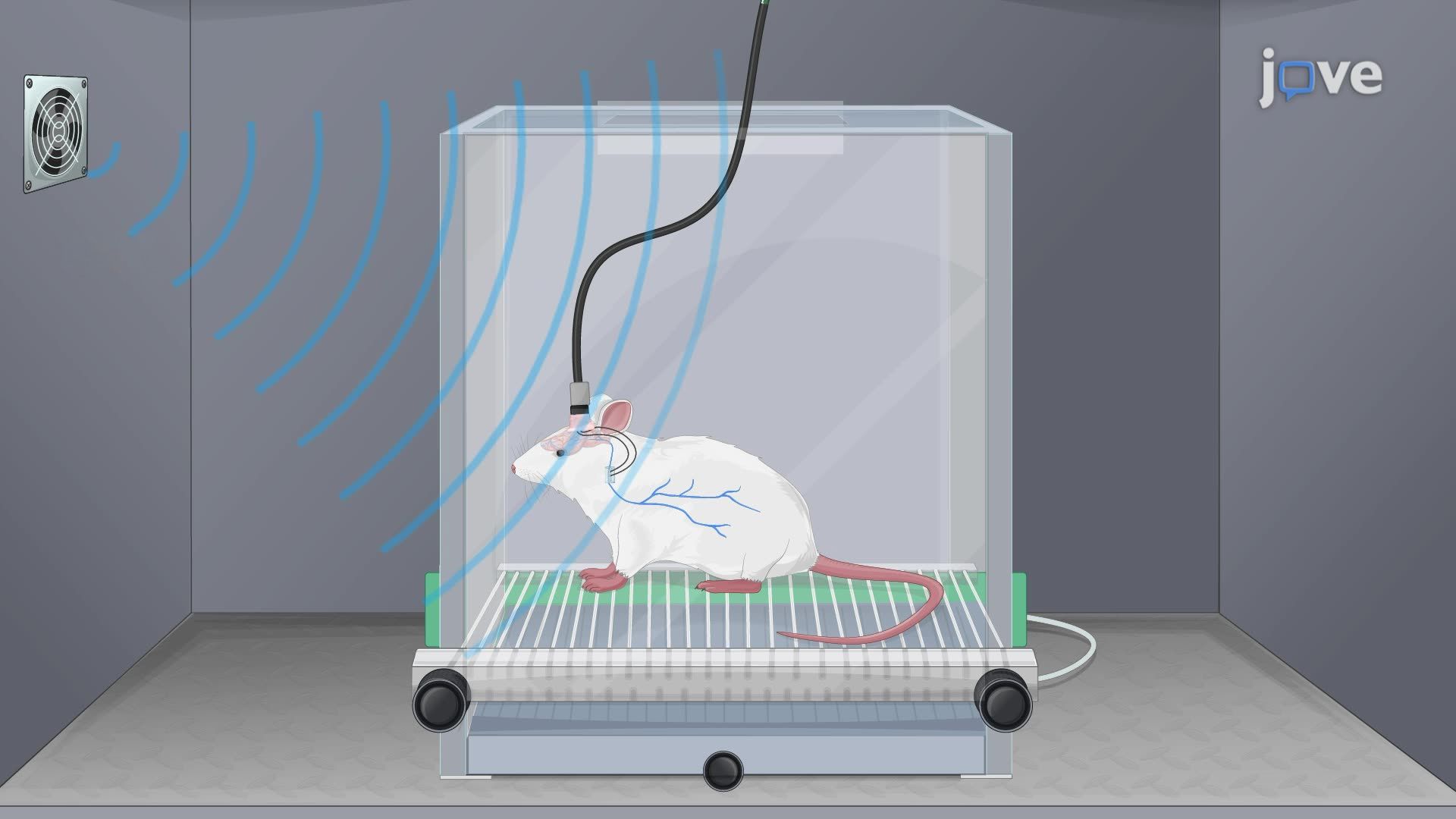 Vagus Nerve Stimulation in a Rat Model to Reduce Freezing Behavior