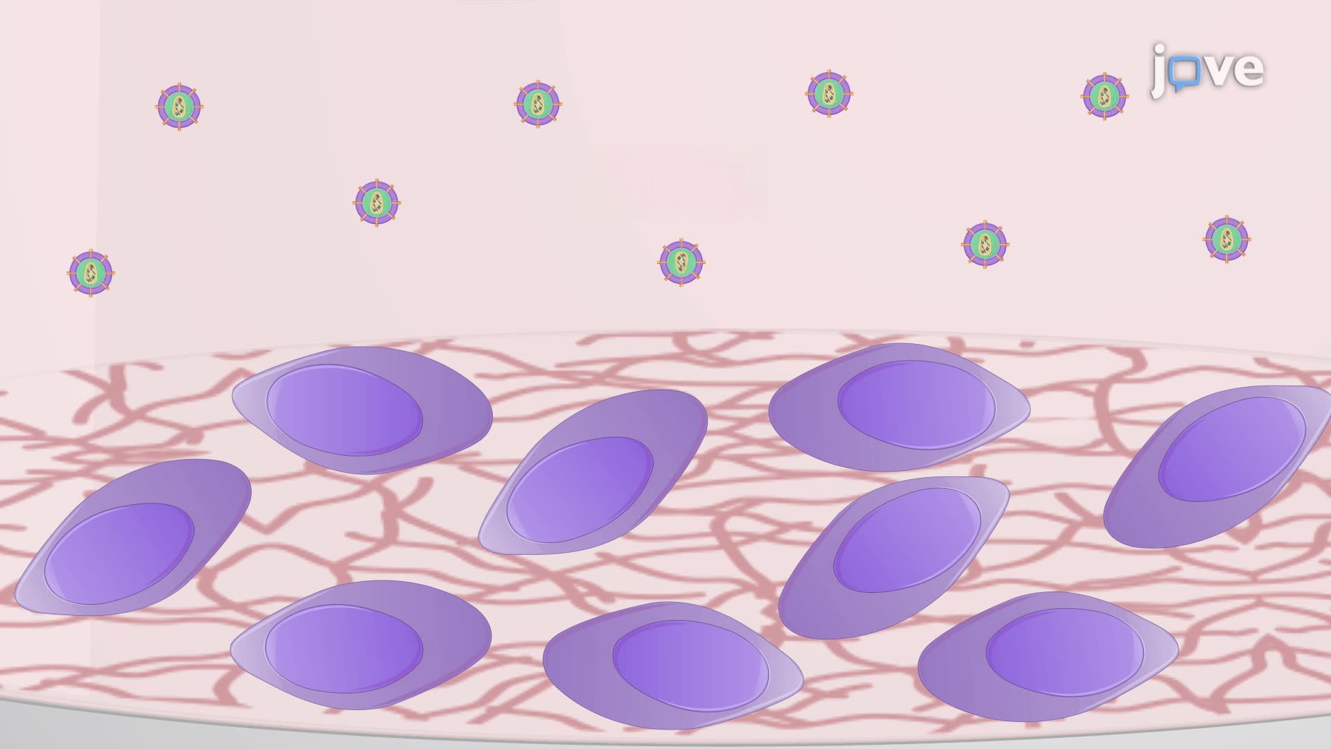 Lentiviral Transduction of Neural Progenitor Cells for Epigenetic Regulation of Alpha-Synuclein Expression