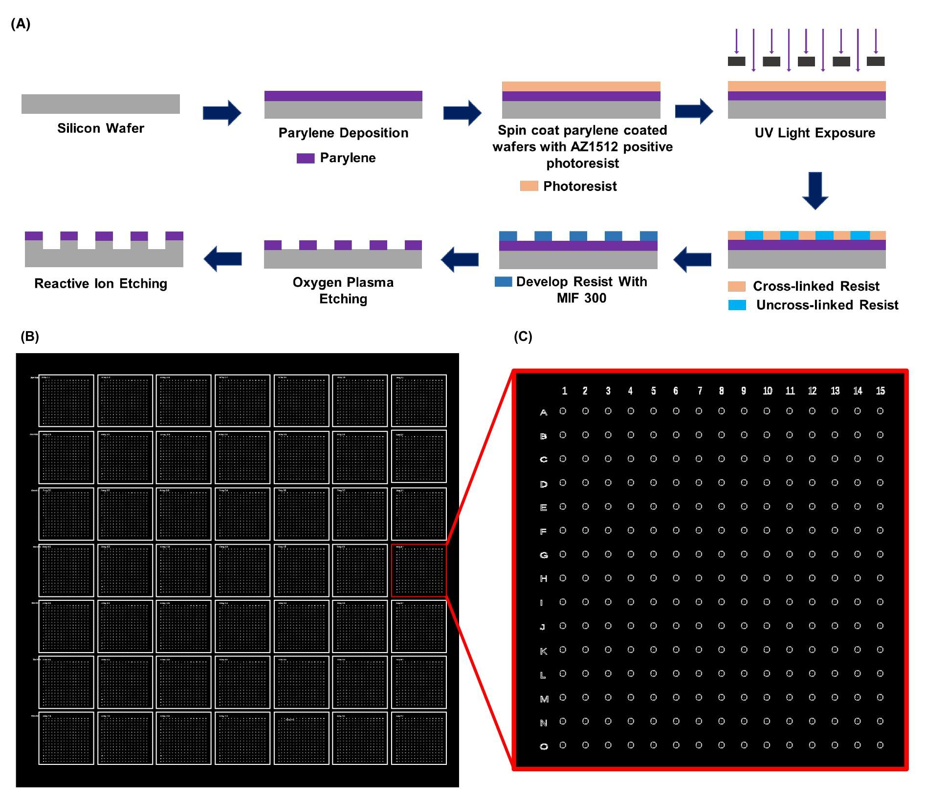Parylene deposition diagram; UV lithography; reactive ion etching; micromachining process.