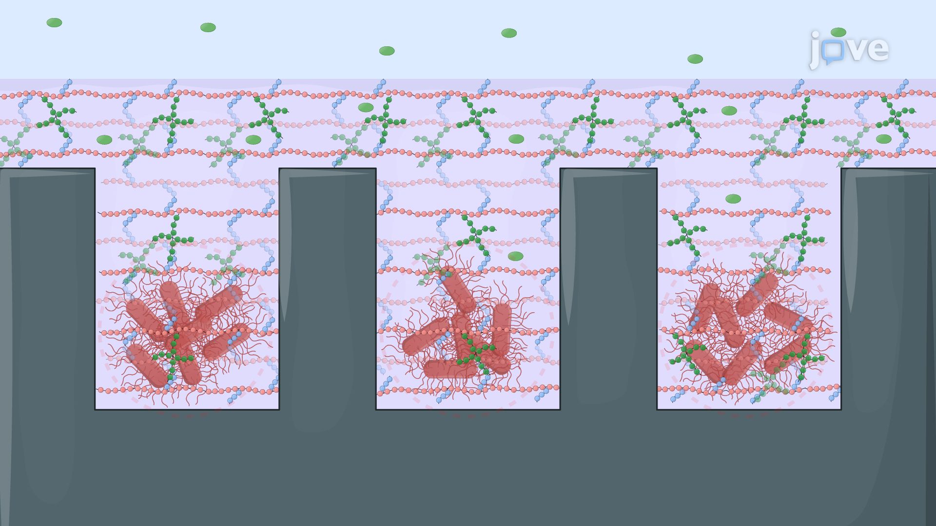 Photodegradable Hydrogel-Based Isolation of Bacterial Colonies in Microwell Arrays