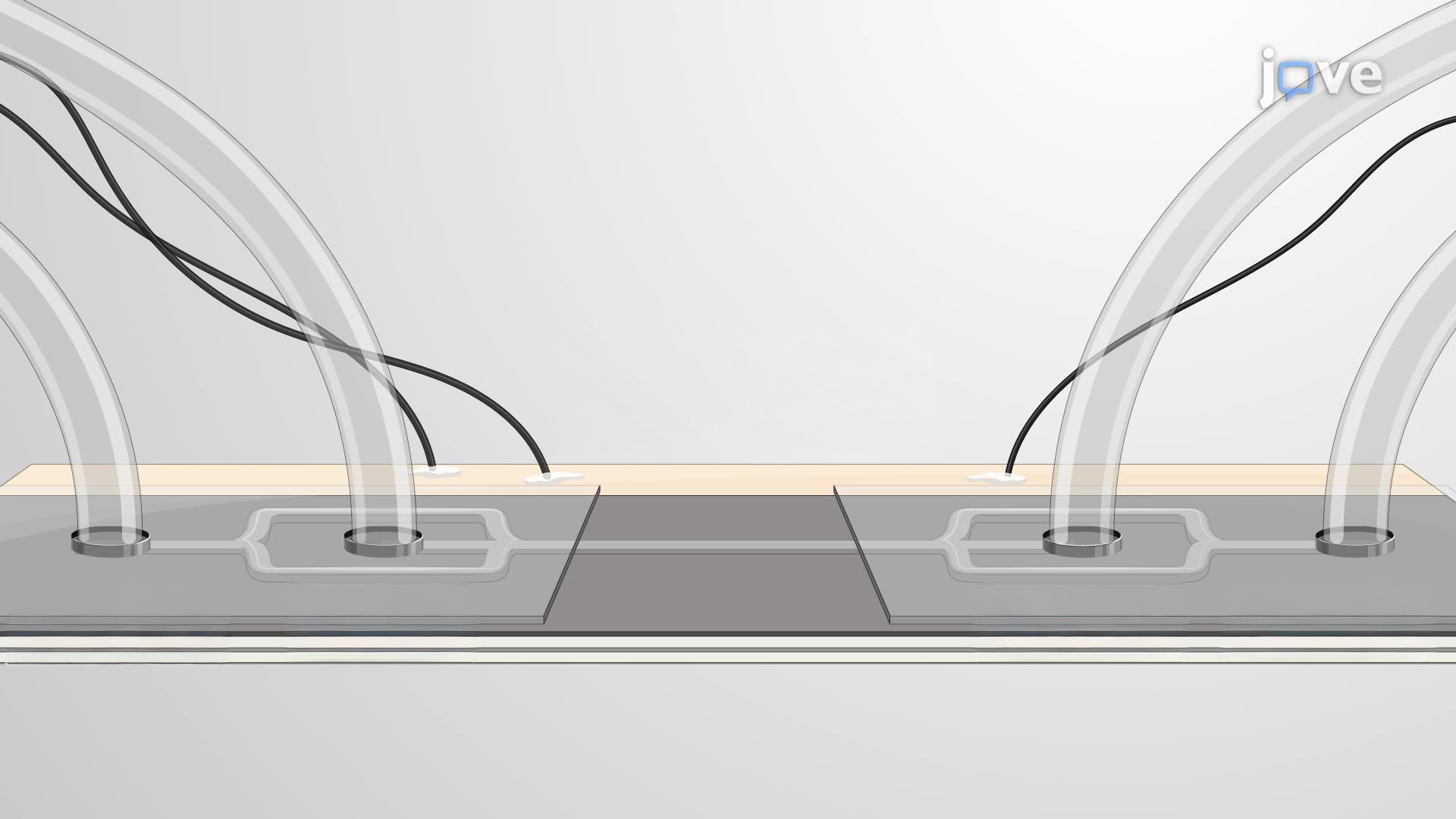 Aptamer-Assisted Acoustophoresis for Microfluidic Separation of Gram-Negative Bacteria