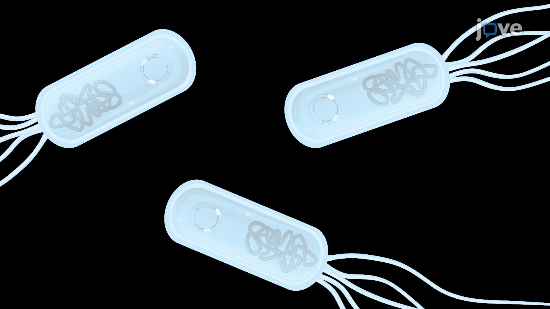 In Vivo Assay to Correlate Bacterial Bioluminescence with Cell Density