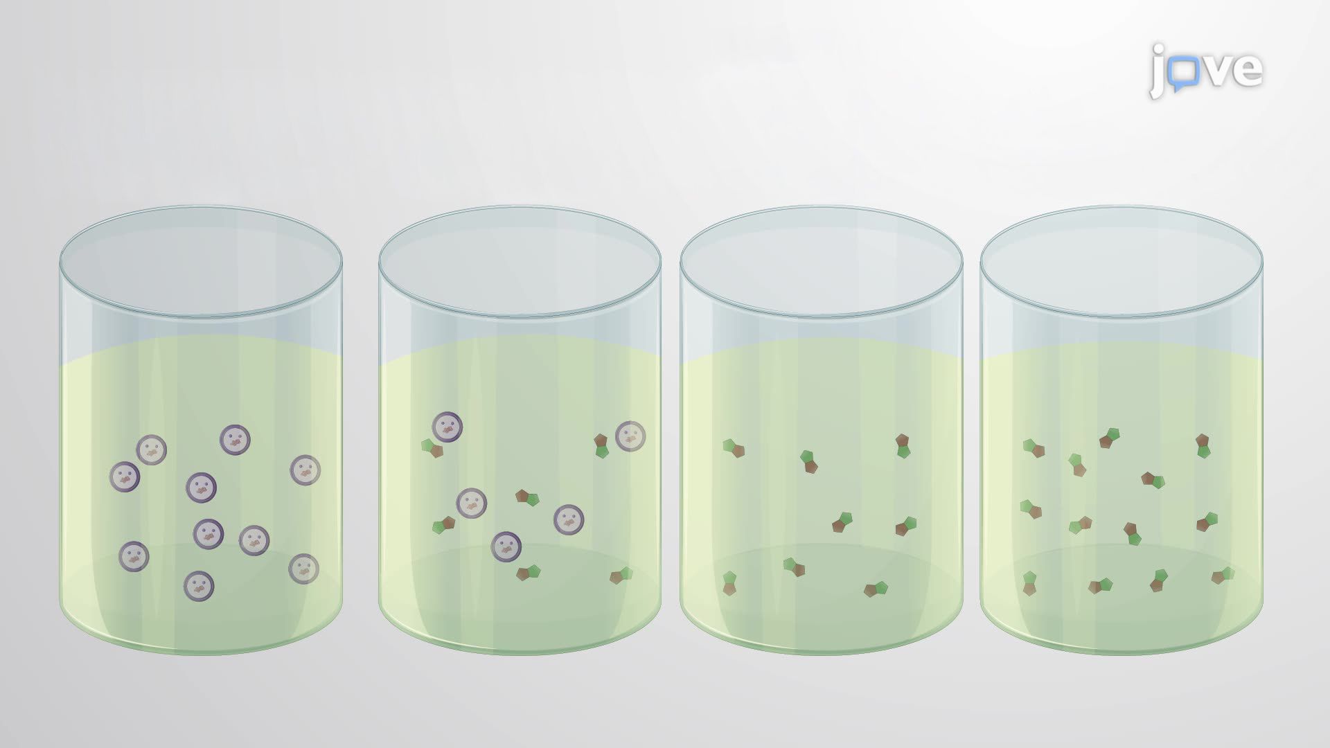 A Broth Microdilution Method for Antibiotic Susceptibility Testing of Gram-Positive Bacteria