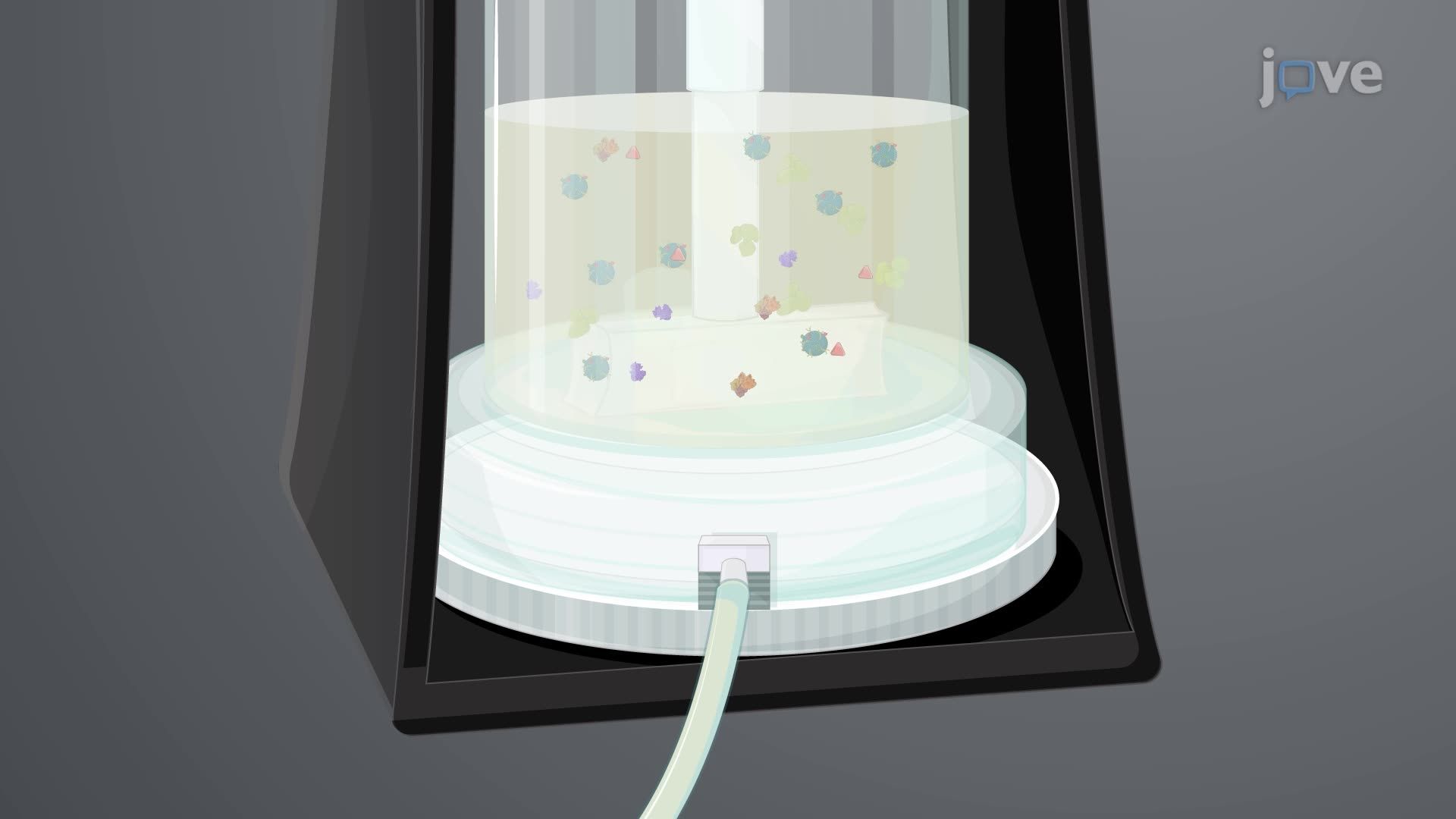 Isolation of Siderophore-Containing Extracellular Vesicles from <i>Mycobacterium tuberculosis</i>