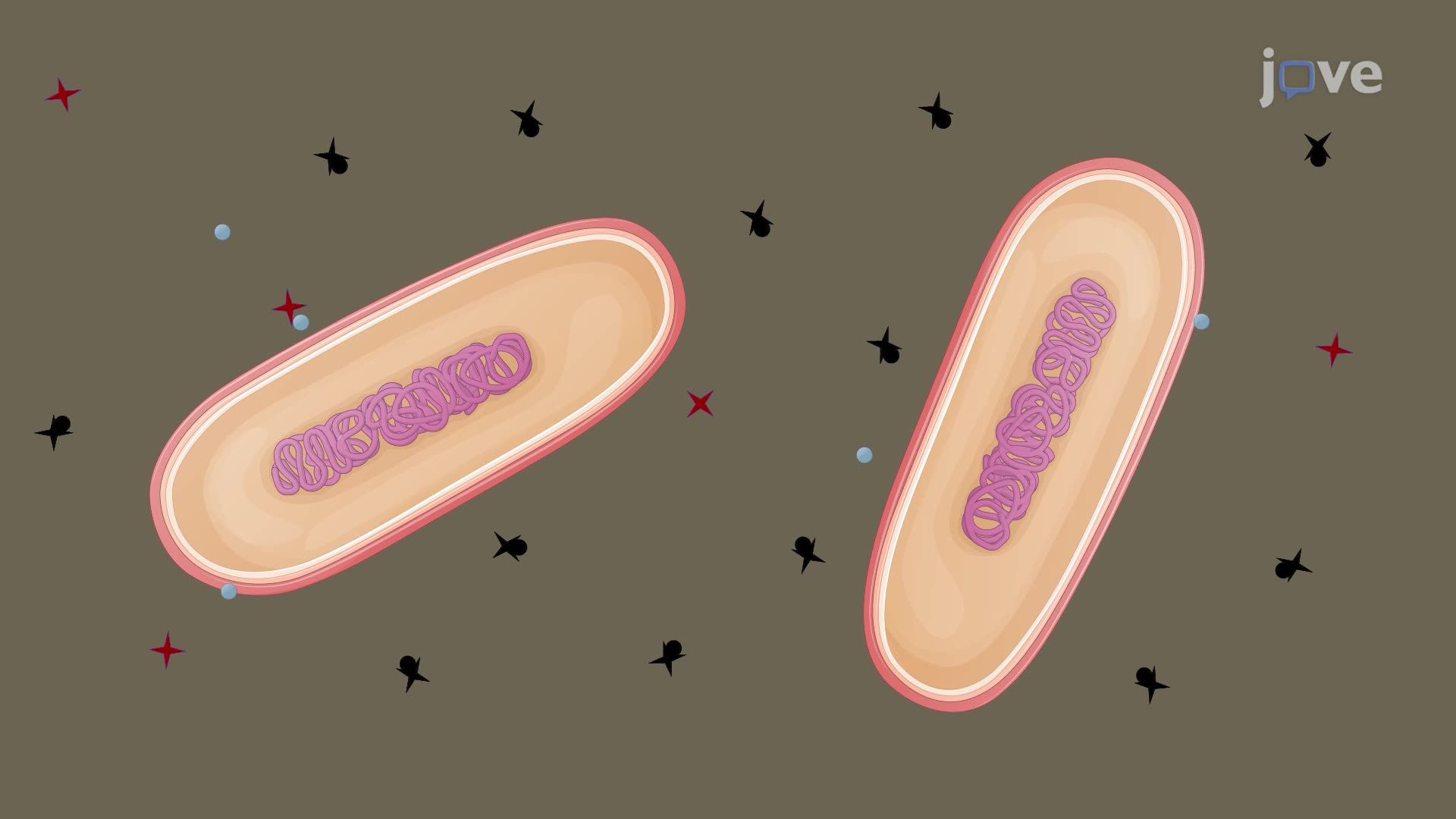 A Sensitive Visual Method for the Detection of Hydrogen Sulfide-Producing Bacteria