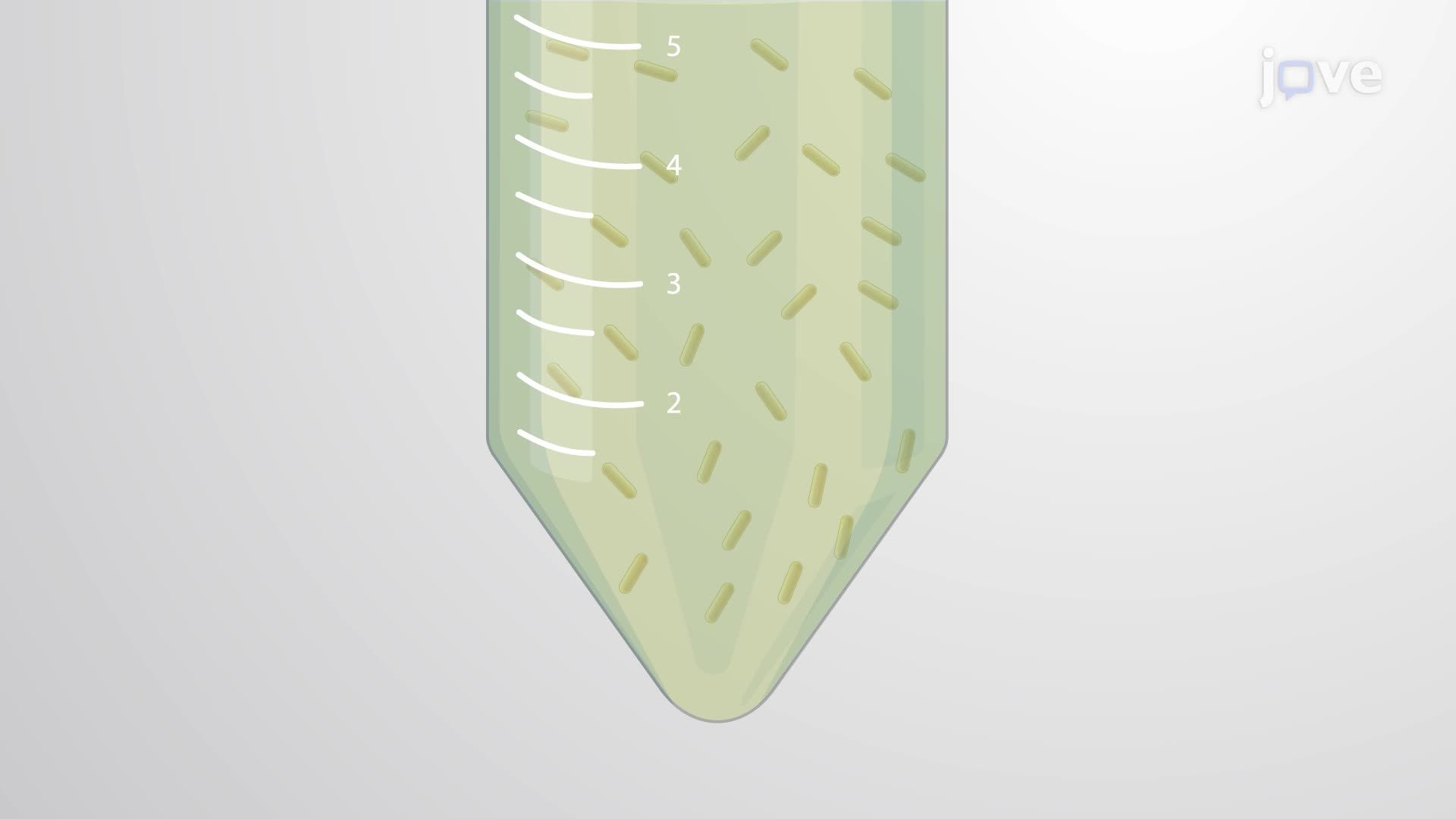 Preparation of a Single-Cell Bacterial Inoculum