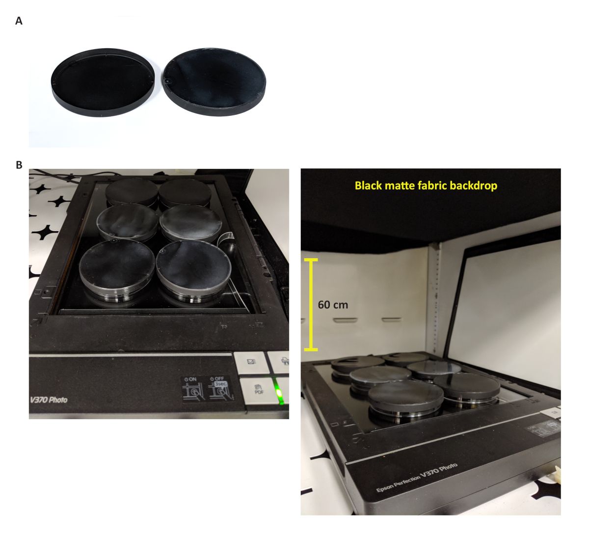 Static equilibrium experiment setup with black matte discs, scanner platform, 60 cm backdrop.
