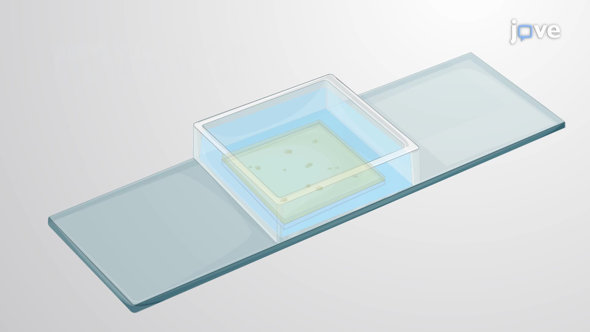 Targeted Bacterial Colony Isolation Using Light-Patterned Hydrogel Degradation