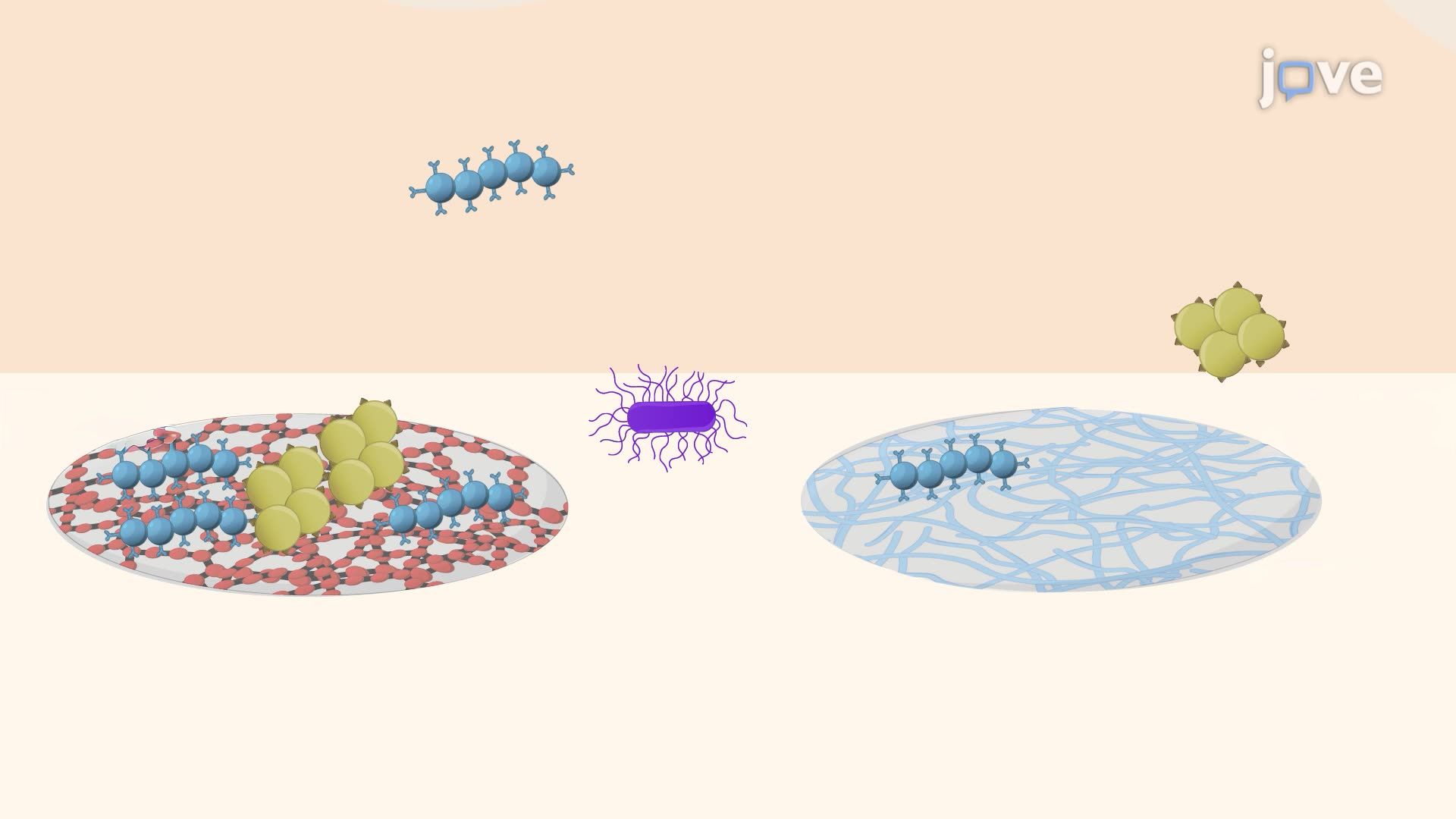 High-Throughput Identification of Bacteria-Repellent Polymers via Microarray Screening
