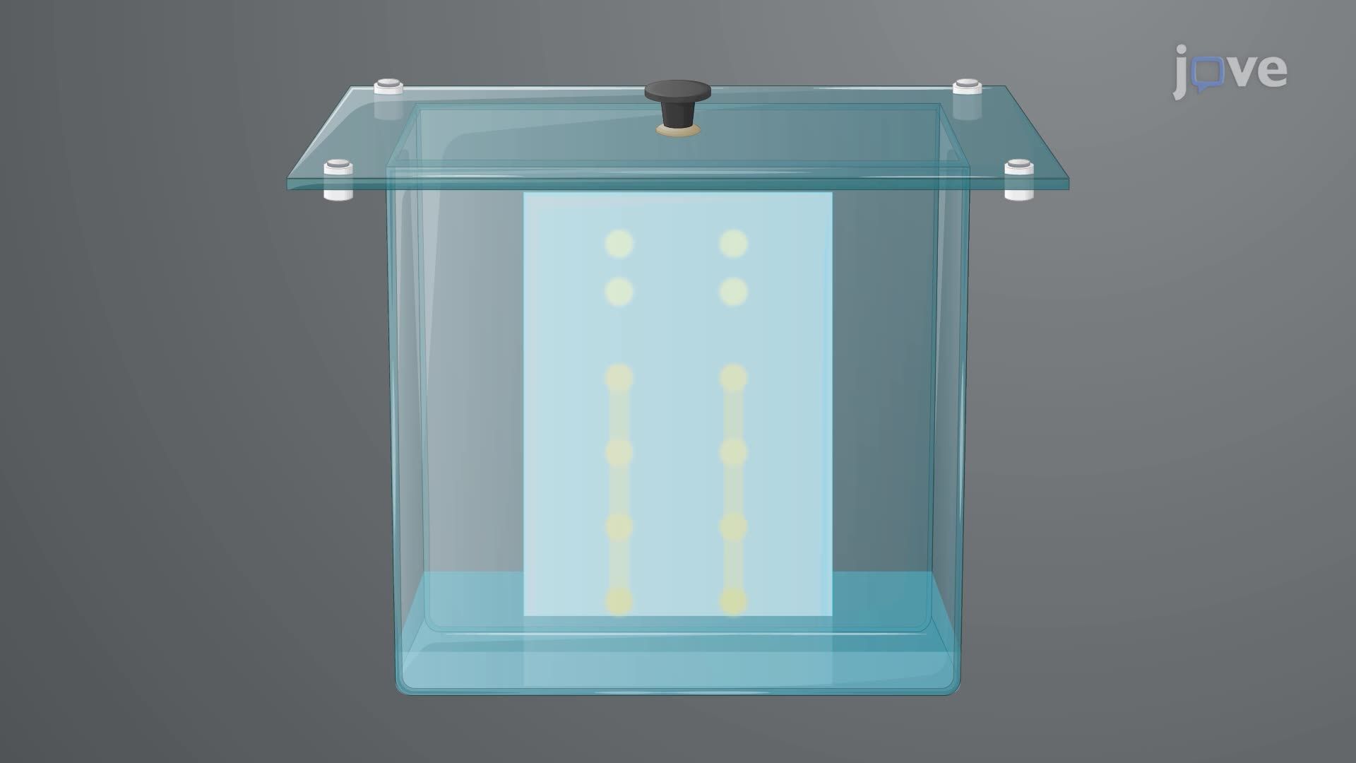 Thin-Layer Chromatography-Based Separation of (p)ppGpp Nucleotides Isolated from Stress-Induced Bacteria