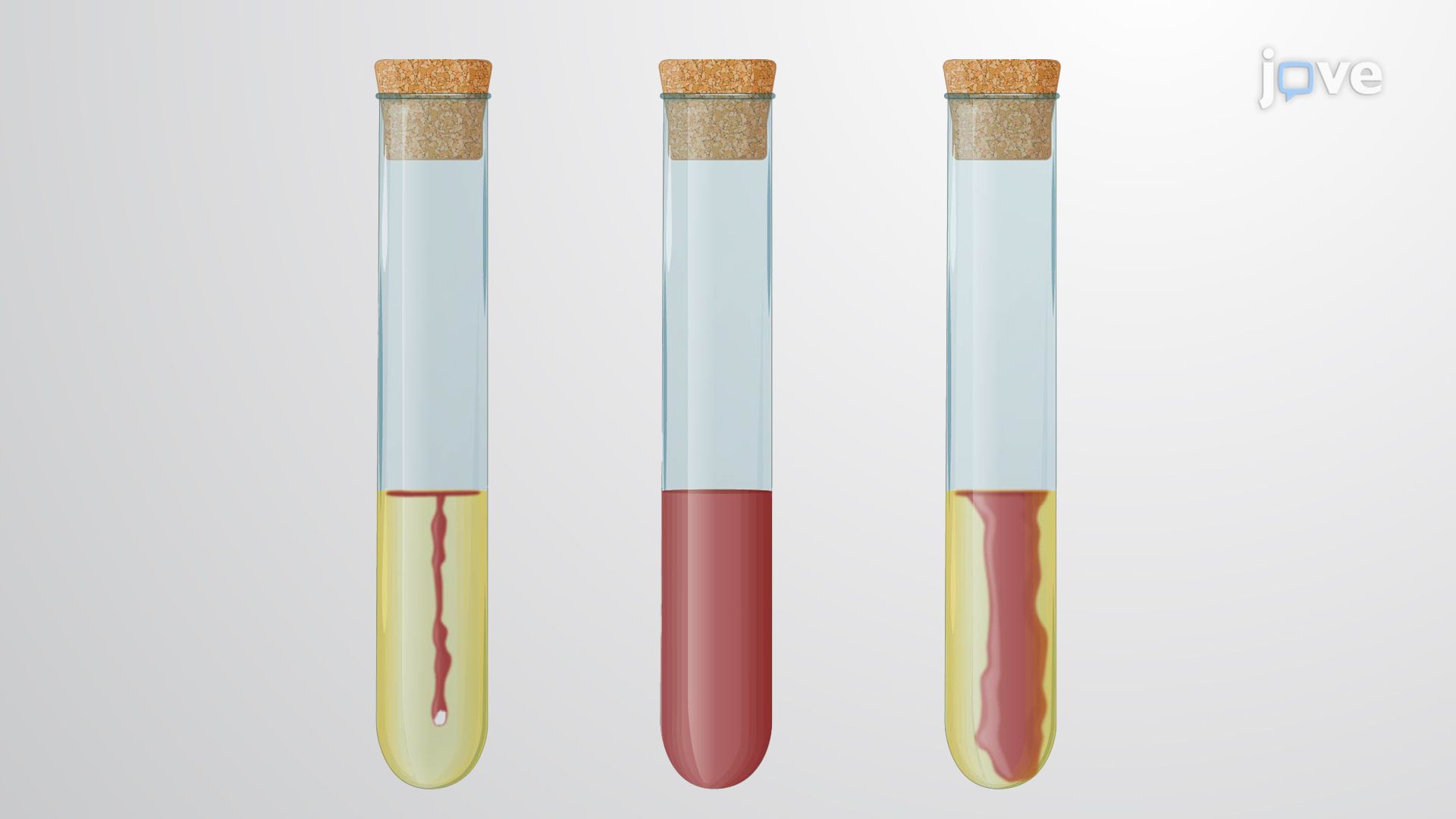 Visualization of Bacterial Motility Using Redox Dye–Supplemented Semisolid Medium