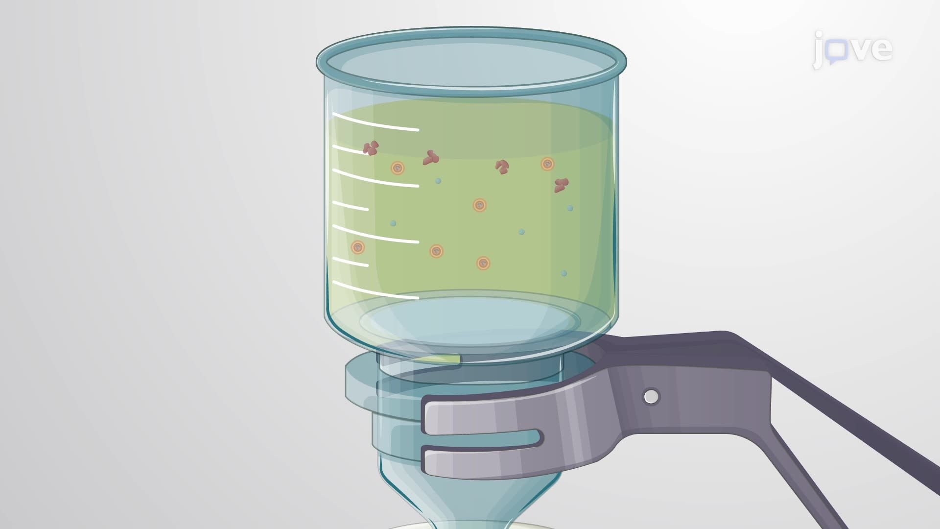 Recombinant Protein Production and Recovery from Bacteria-Derived Vesicles
