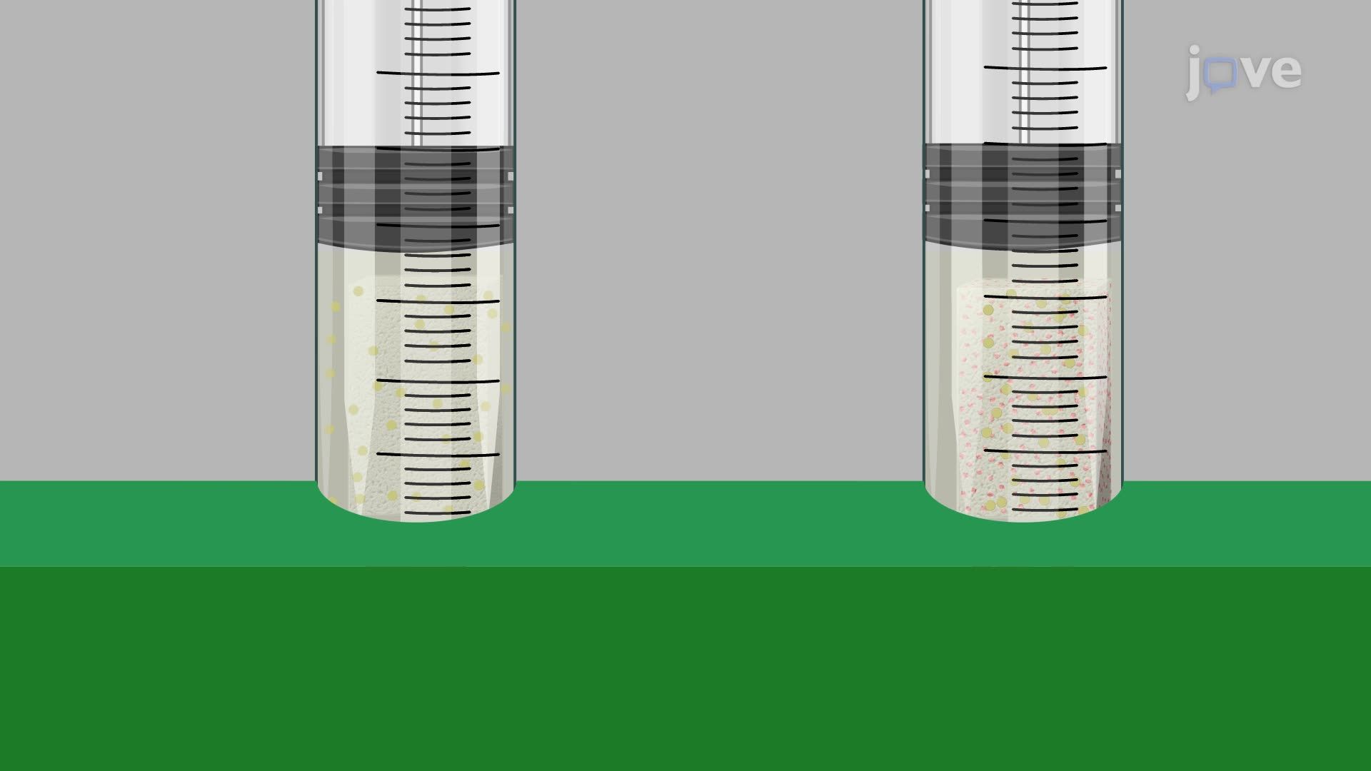 Determining the Antibacterial Efficacy of an Antibiotic-Loaded Polymeric Strip