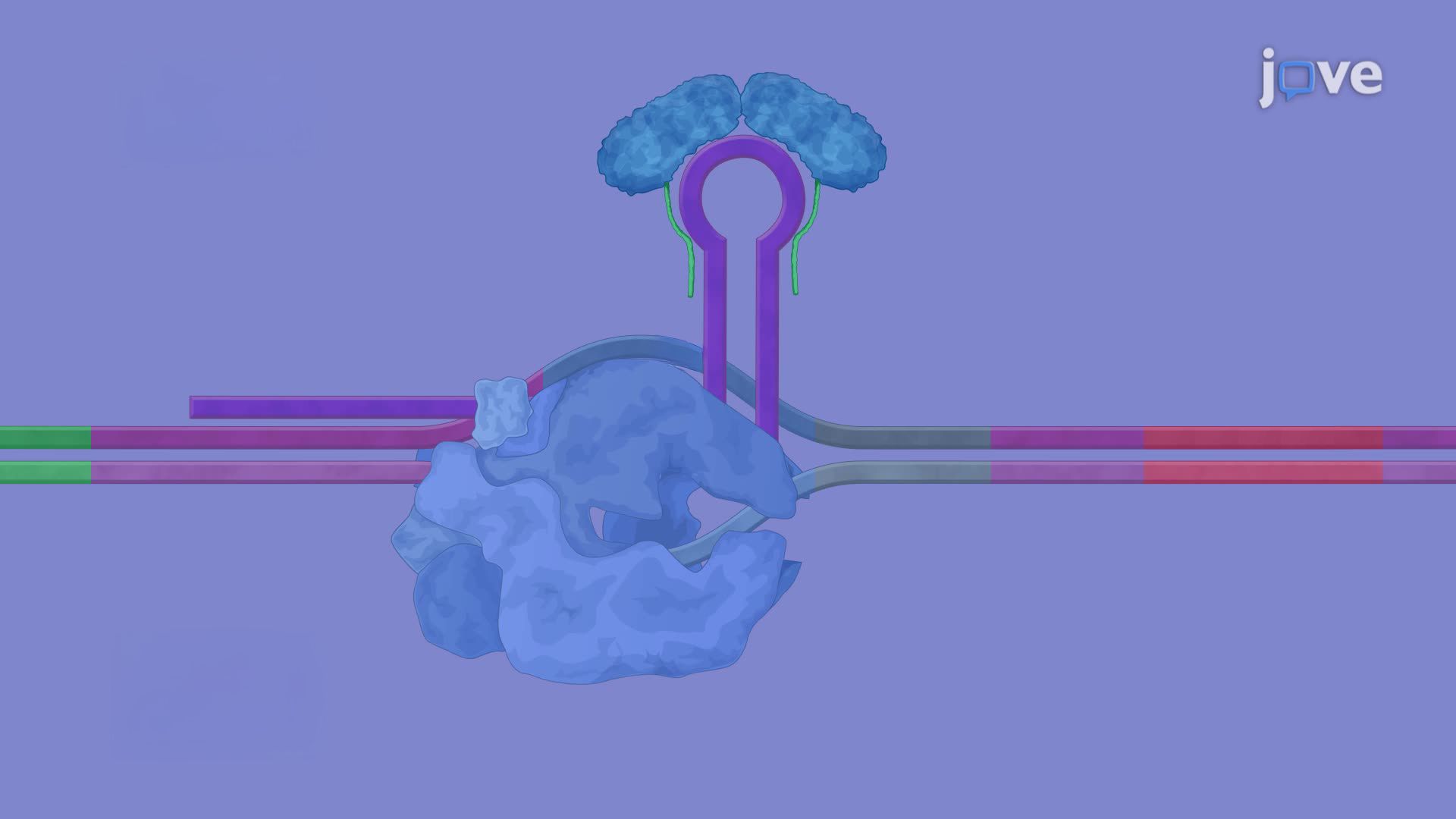 Optogenetic Control of Gene Expression in <i>Corynebacterium glutamicum</i>